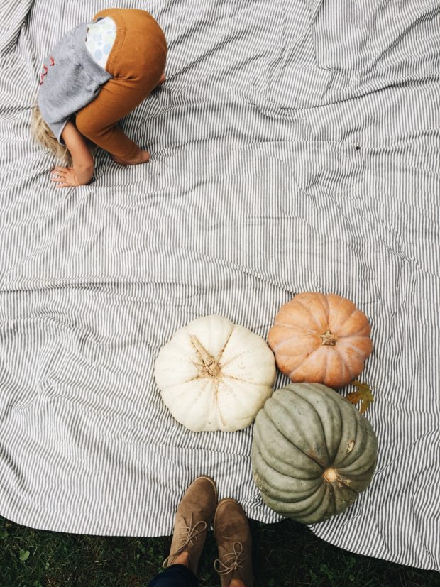 FALL. Pumpkins, blanket, booties, and booty