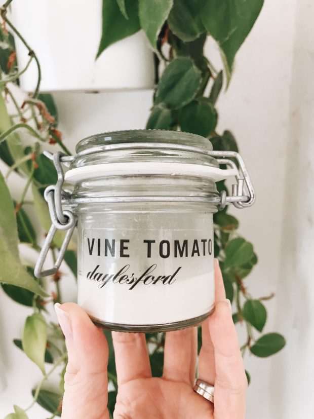 Vine Tomato Candle - THE BEST CANDLE EVER