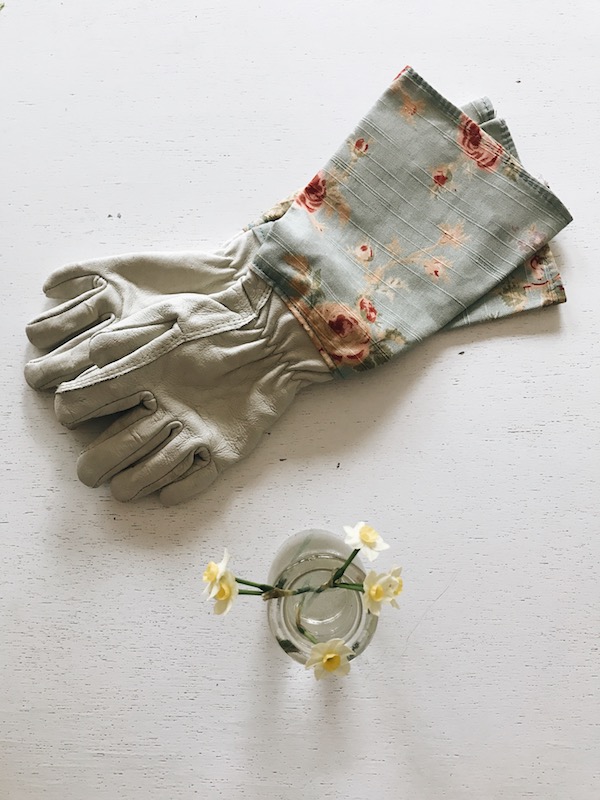 gardening gloves and mini daffodils 