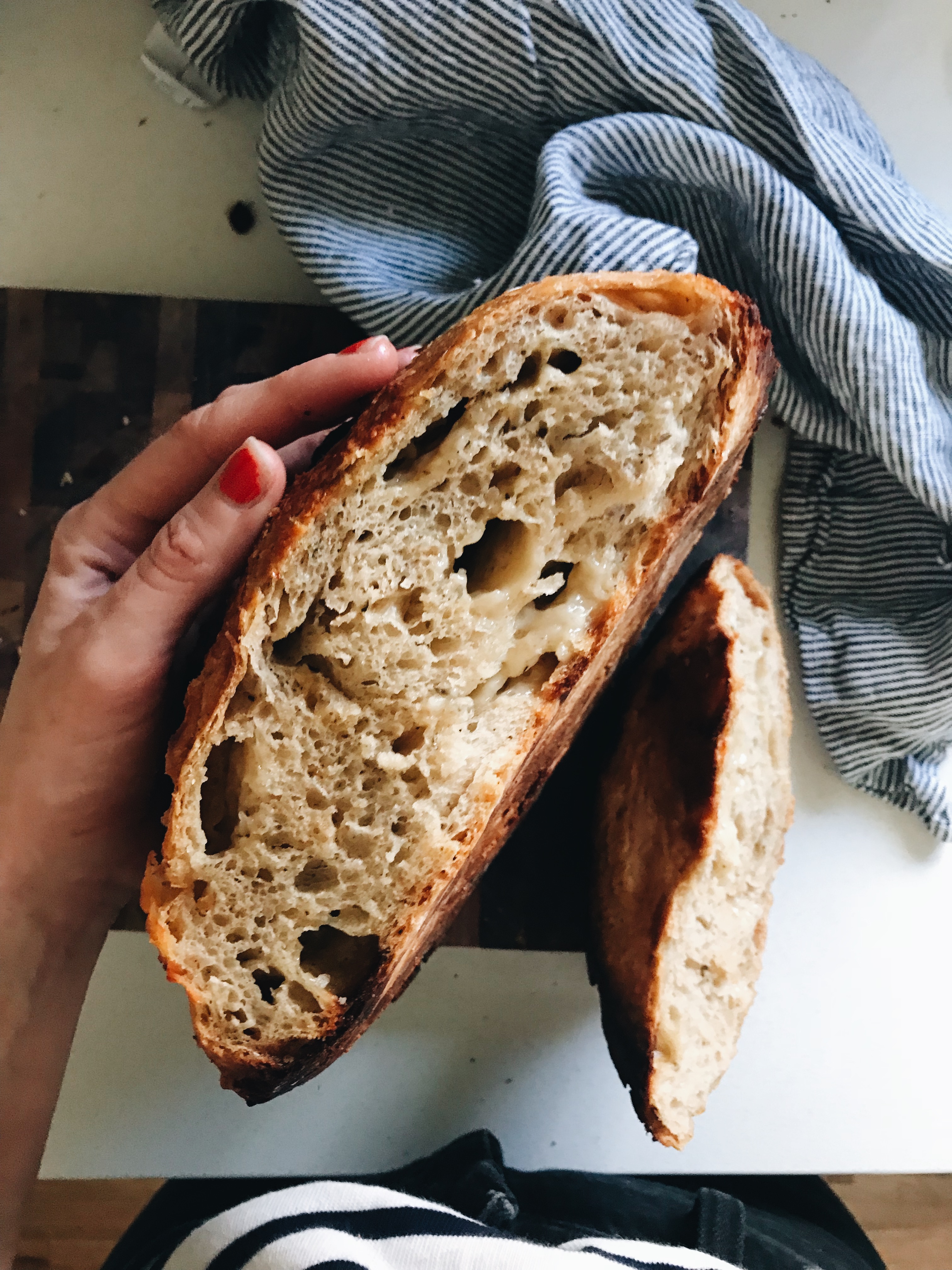 No-Knead Cheesy Rustic Bread / Bev Cooks