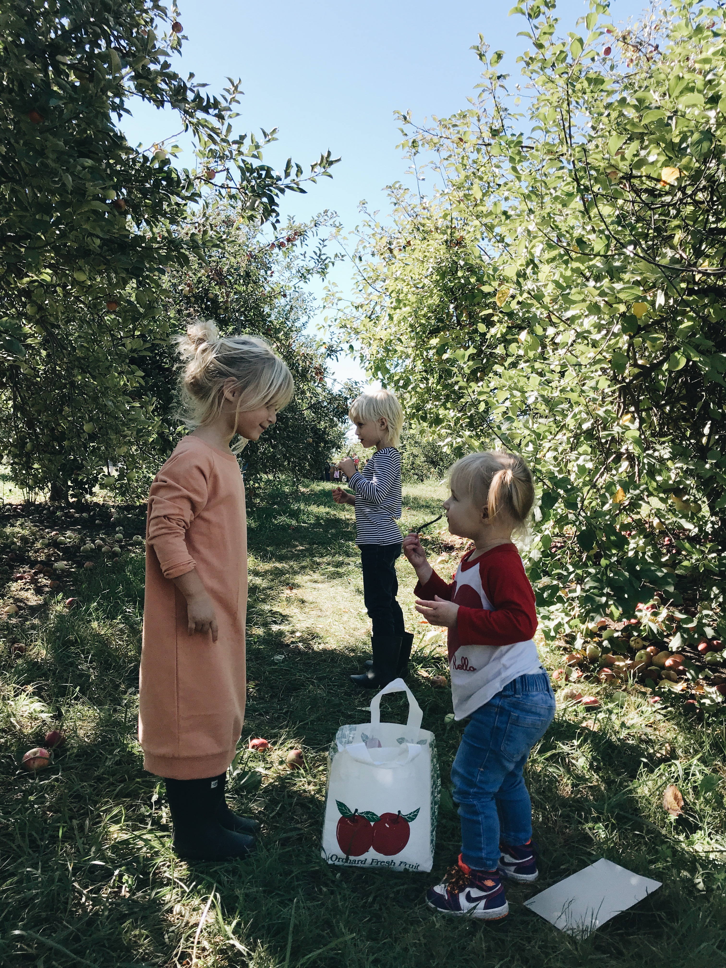 kiddos at the apple orchard