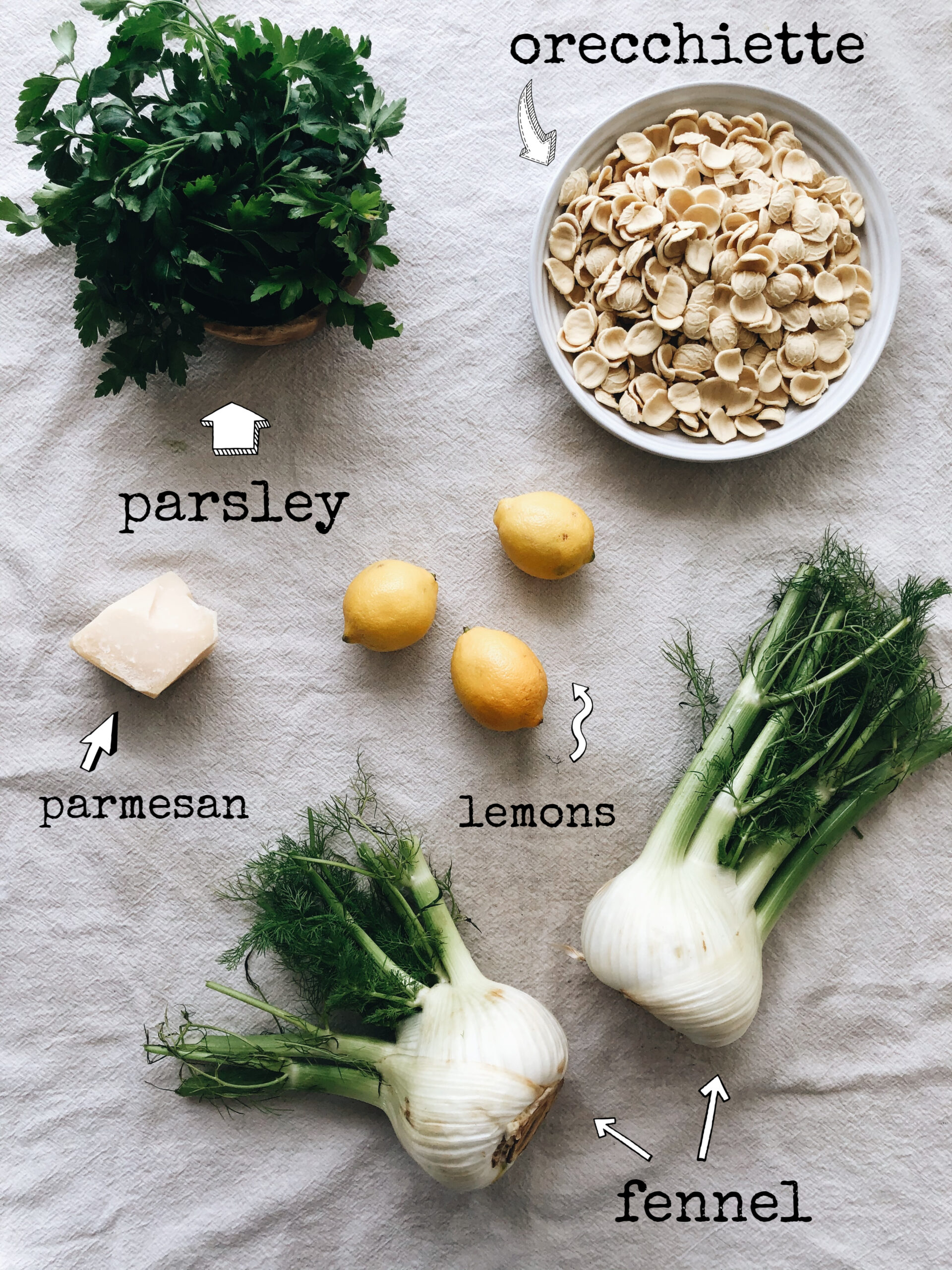 What is Fennel? (And How to Cook It) - Recipes by Love and Lemons