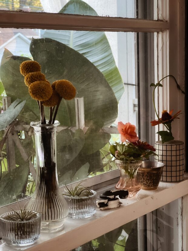 flowers in the window / bev cooks