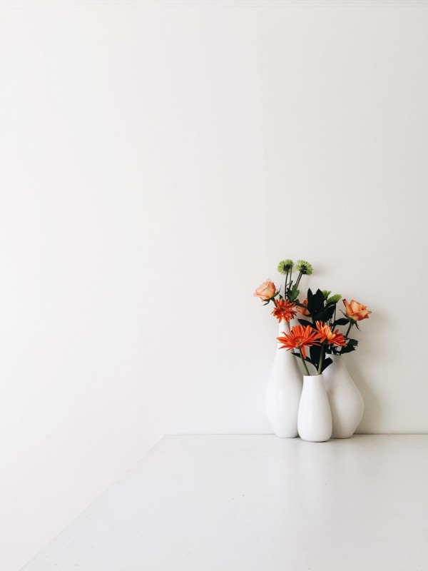 Flowers on white