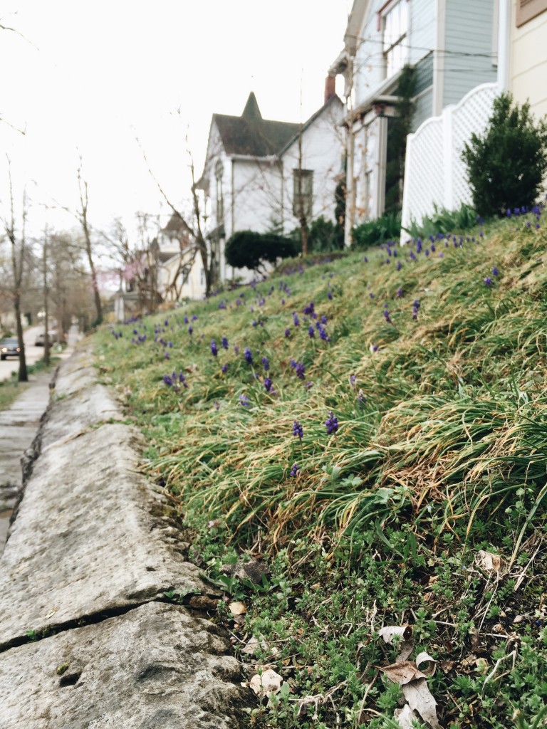 Friday Flotsam - Eureka Springs in the spring