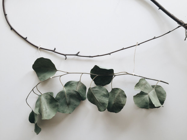 DIY: Sage "Dream Catcher" and Eucalyptus "Wreath" / Bev Cooks