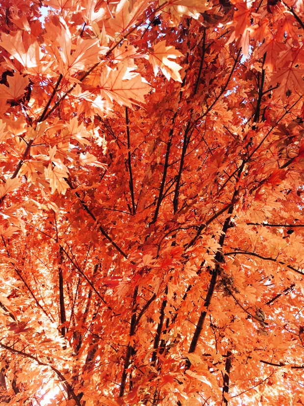 Monthly Mixtape: Fire Monthly Mixtape: FIRE