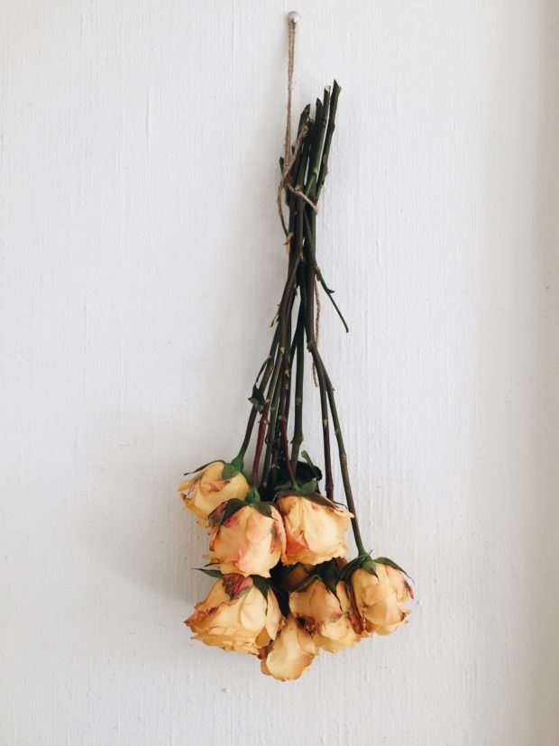 Dried Yellow Roses