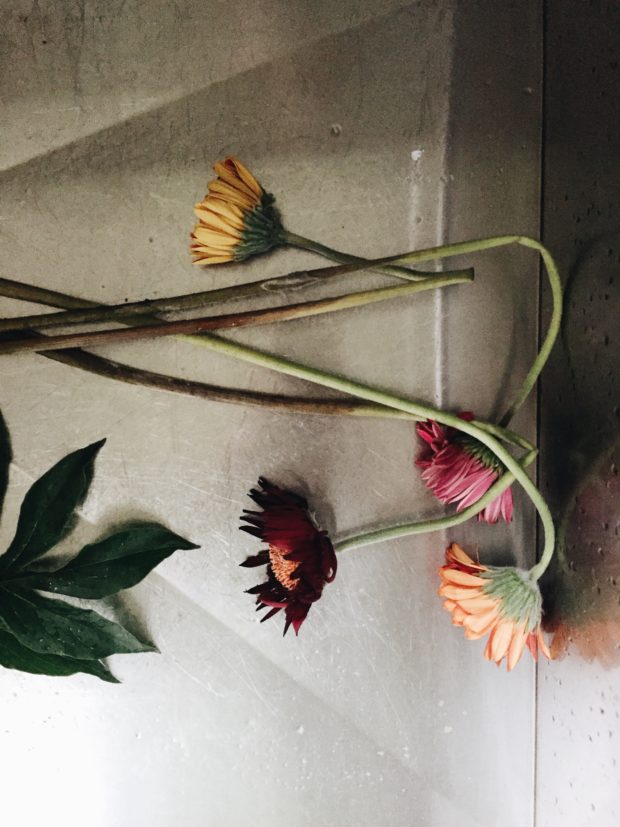 Flowers in the sink 