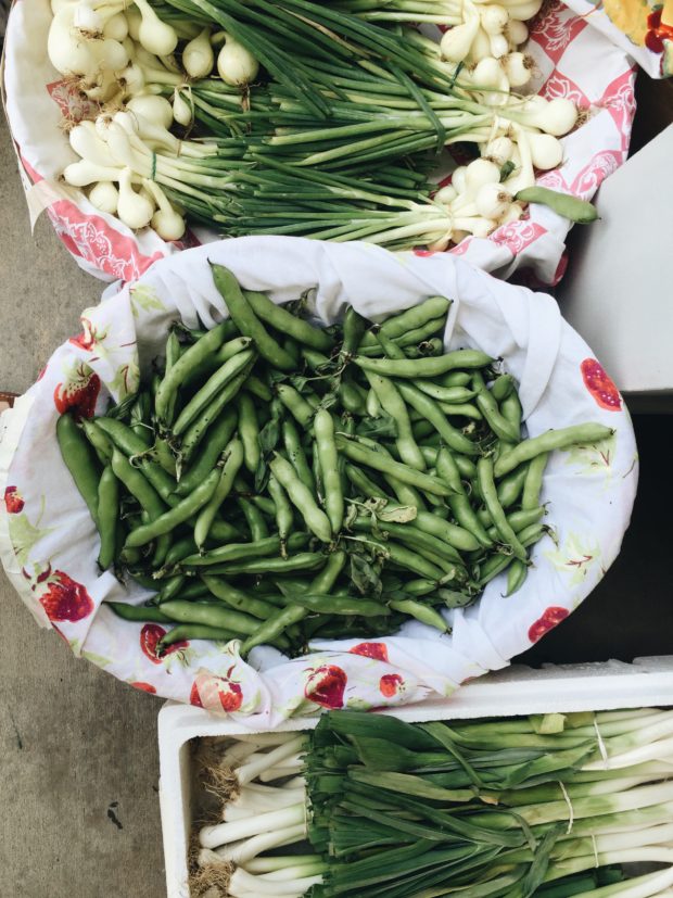 Market goodies - fava beans, huge scallions and something else