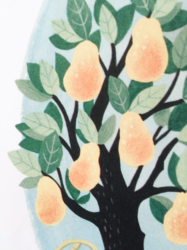 Fruit Tree Illustration