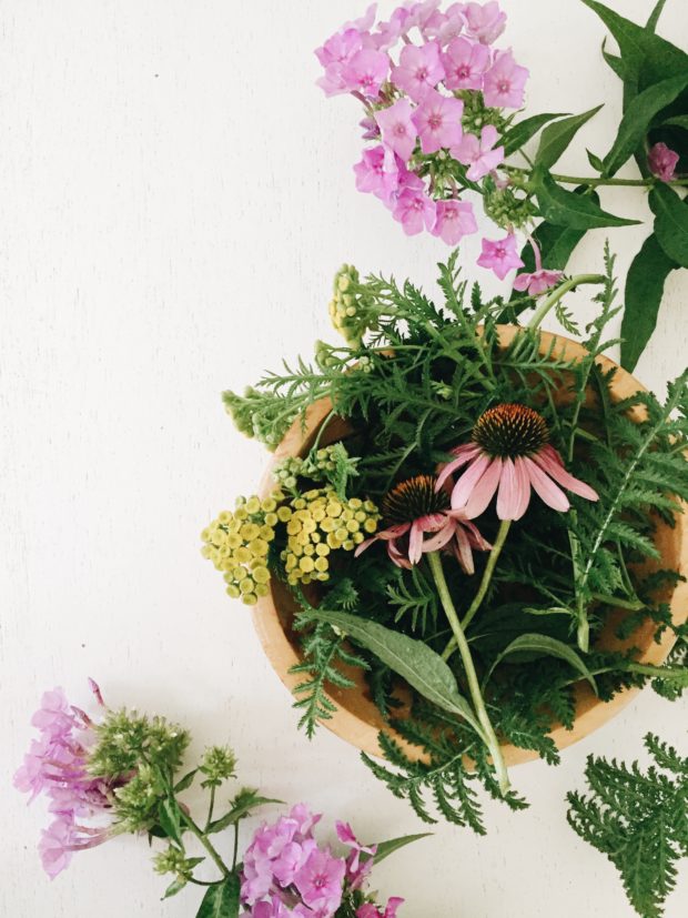 Summer Backyard Flowers 