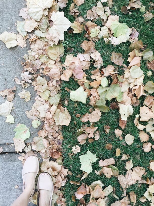 Feet and leaves