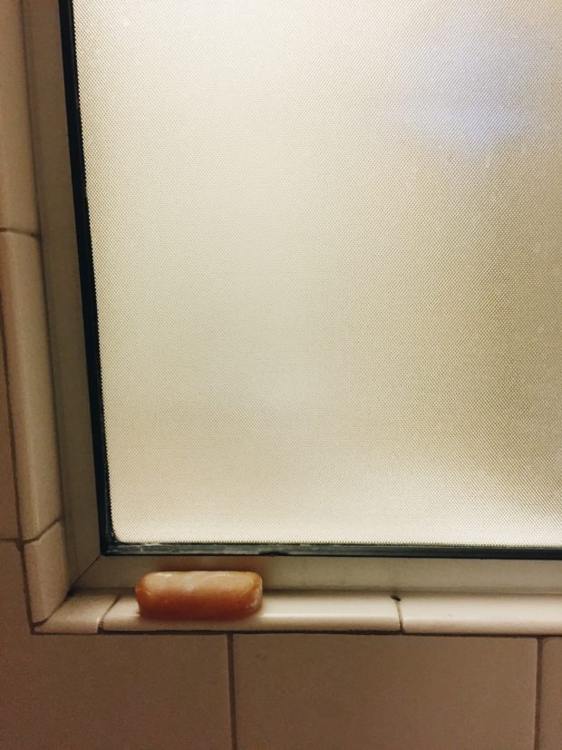 Soap in a Hotel Shower