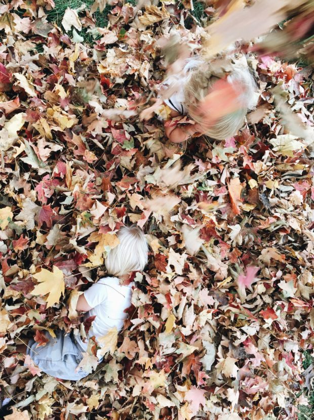 Kids in Leaves