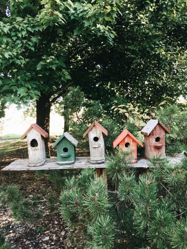 A row of birdhouses