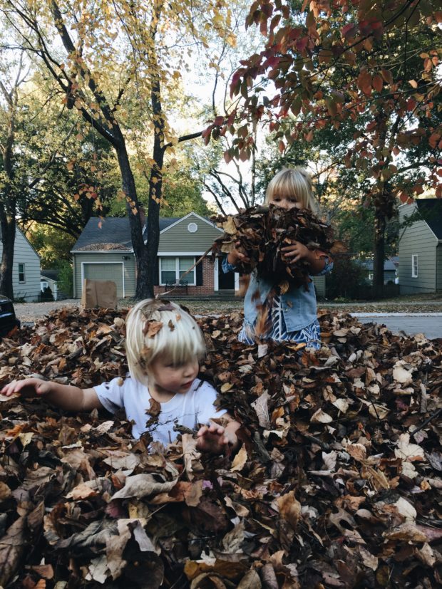 Toddlers buried in leaves