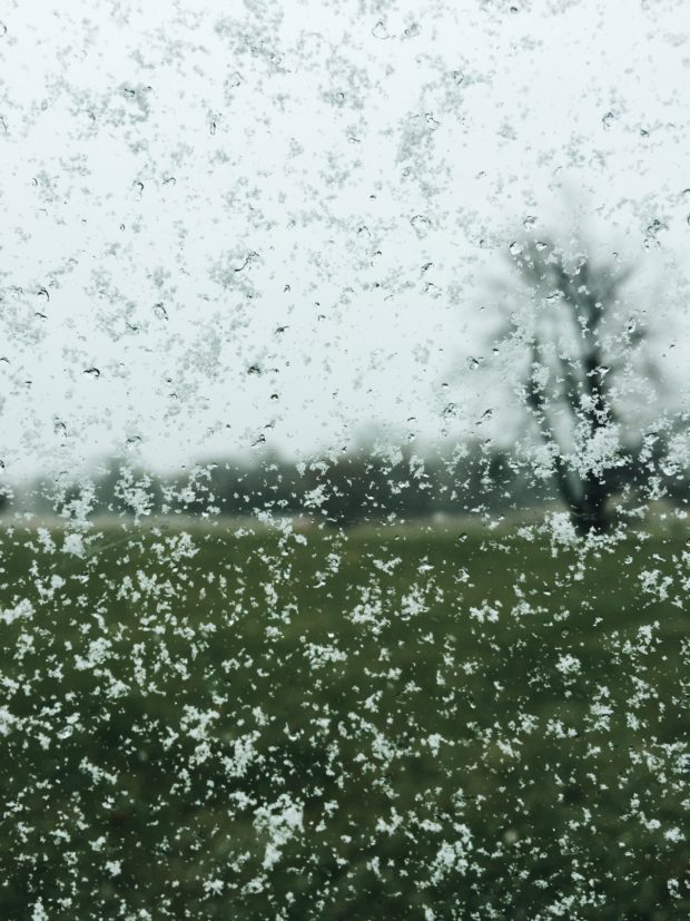 Snowflakes on Window