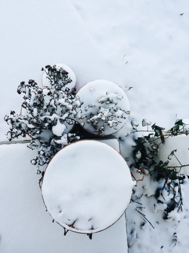 Snowy Pots