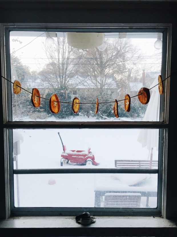 Dried Oranges in a Snowy Window