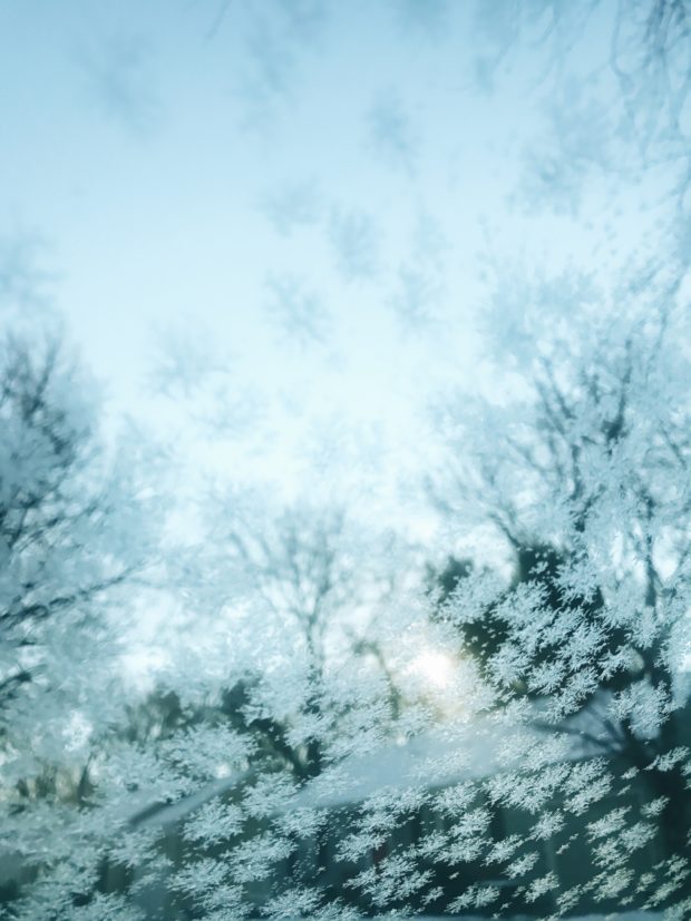 Ice on windshield in January