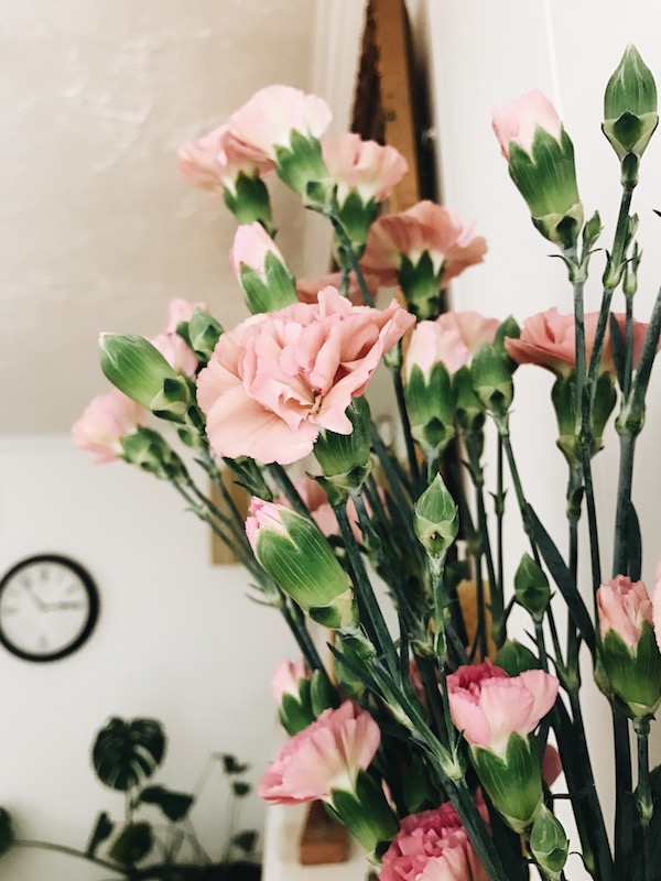 pink flowers in the winter