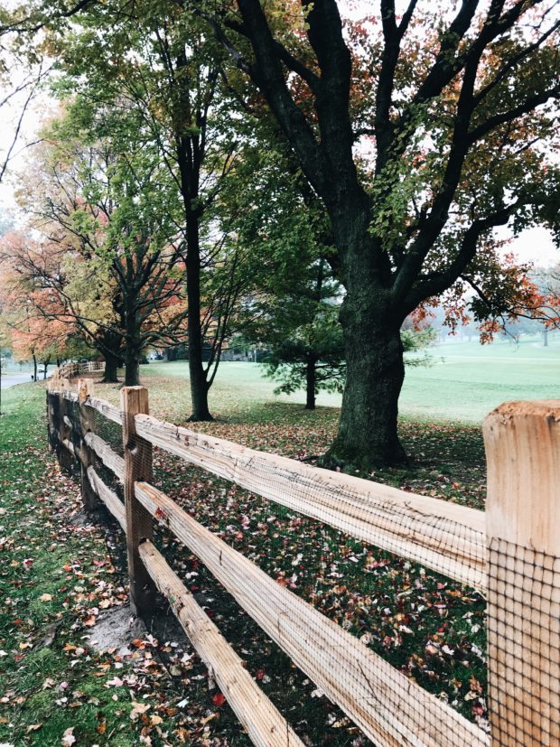 Fall fence