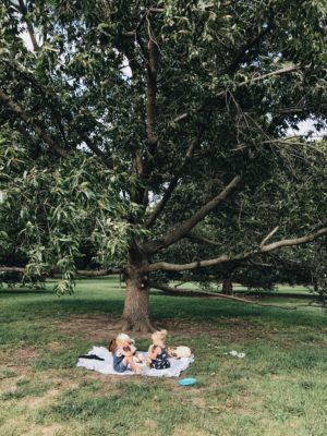 StonyFIELDS Organic Park Movement - Bev Cooks