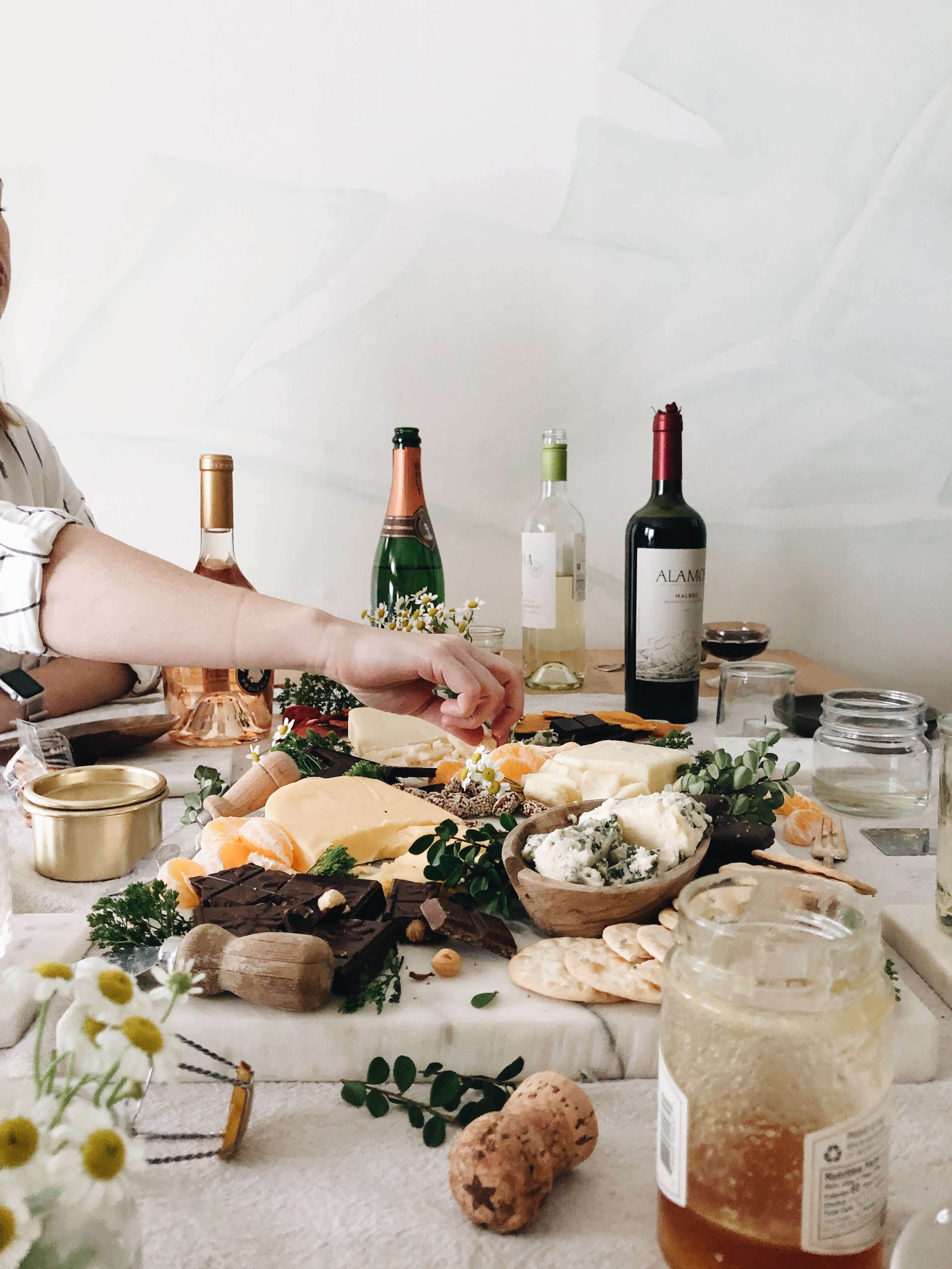 Chocolate, Cheese and Wine - Oh My! / Bev Cooks