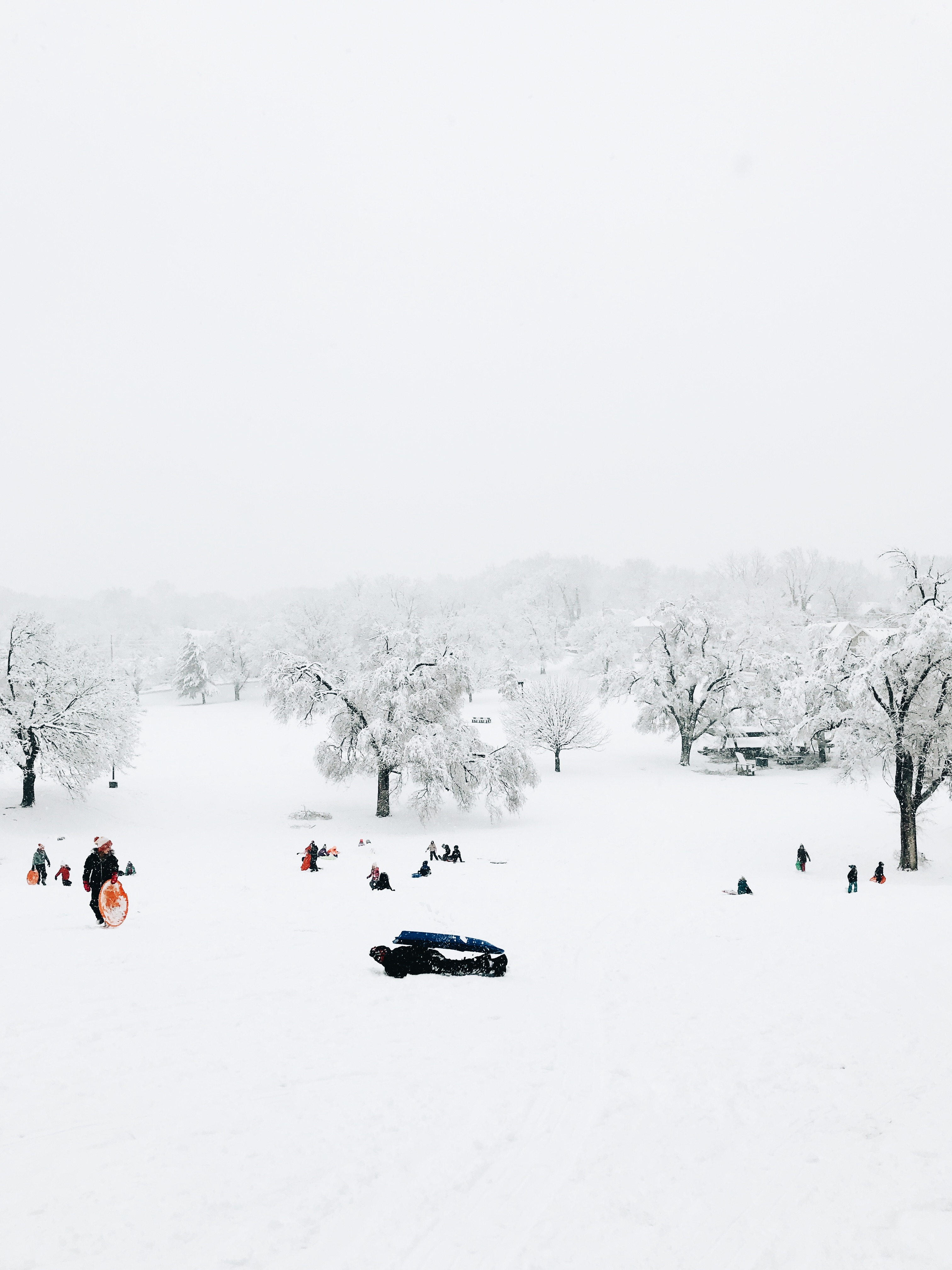 sledders