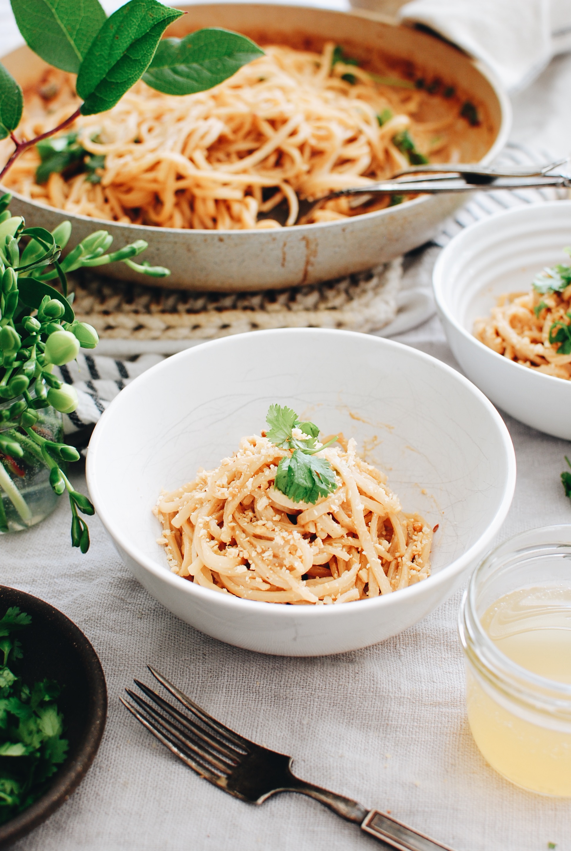 Thai Coconut Noodles / Bev Cooks