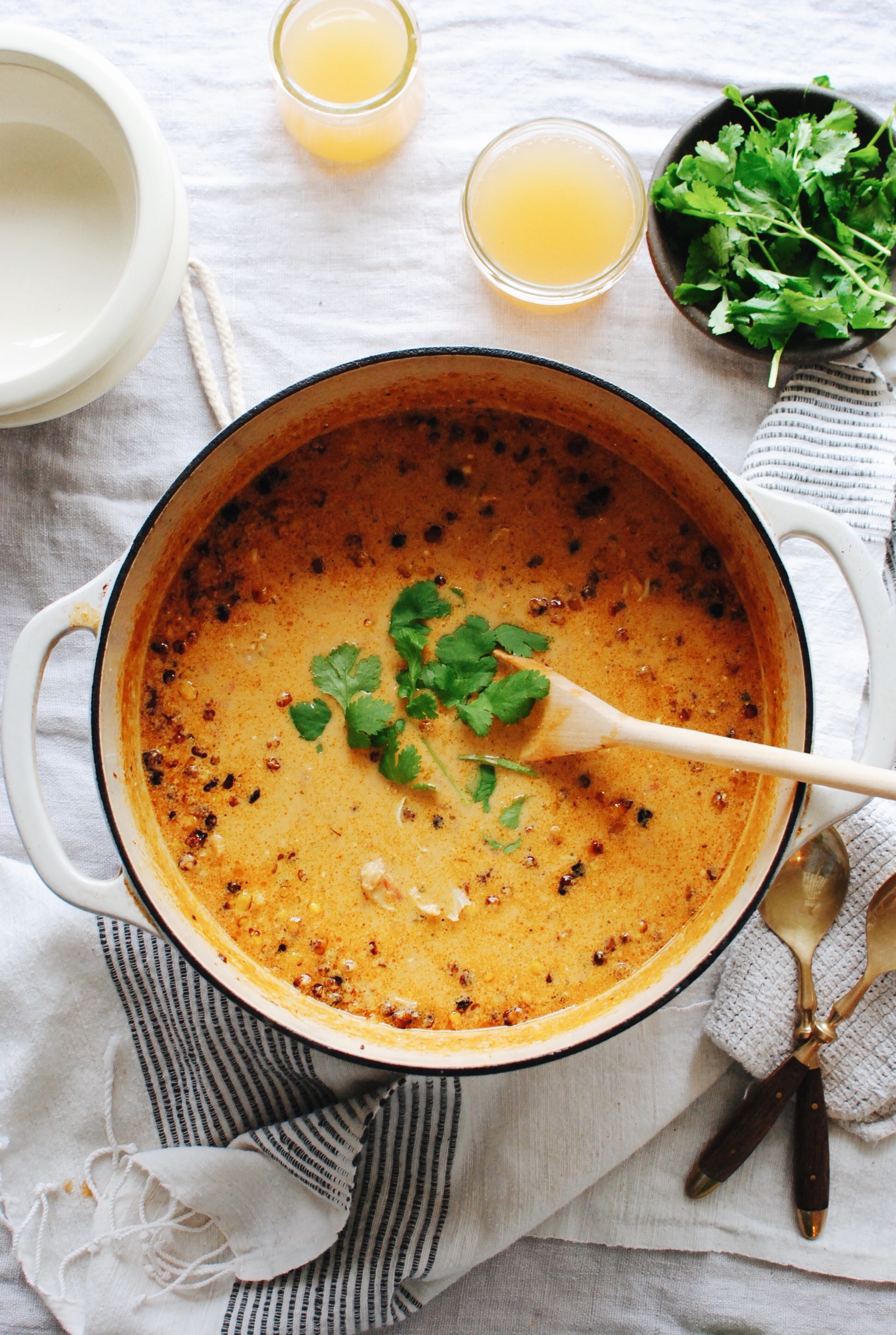 Chicken Salsa Soup / Bev Cooks