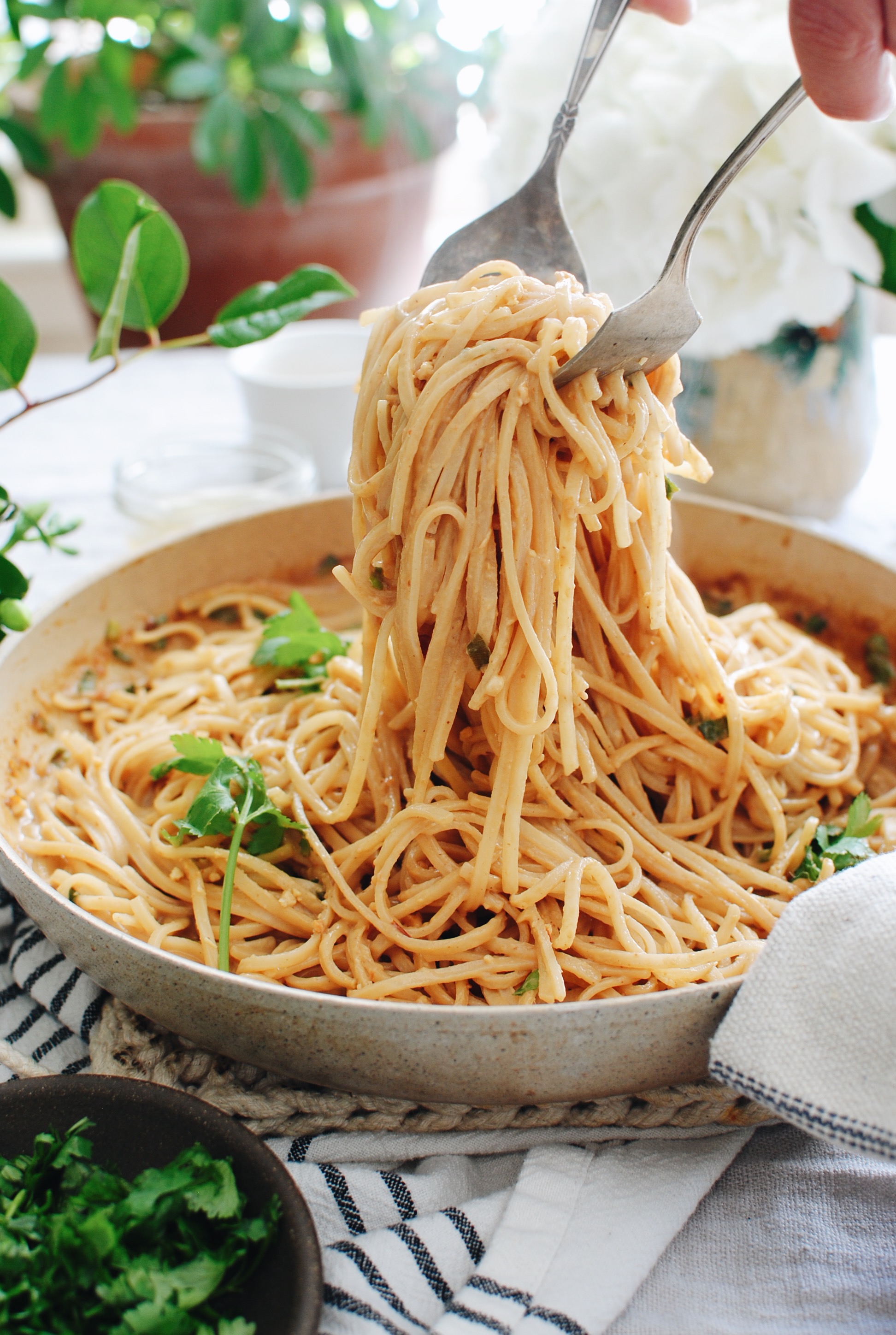 Thai Coconut Noodles / Bev Cooks