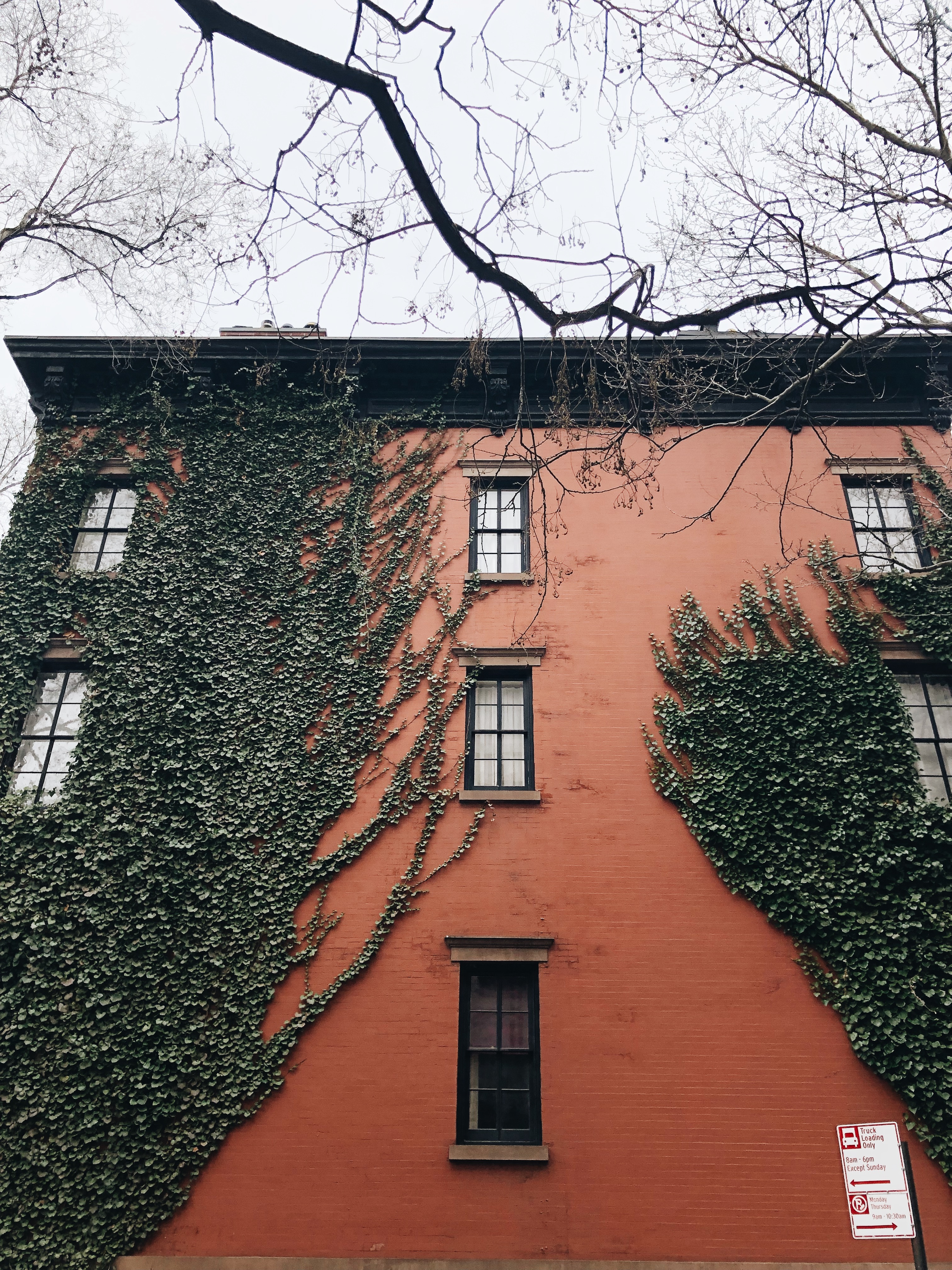 ivy in nyc | Bev Cooks