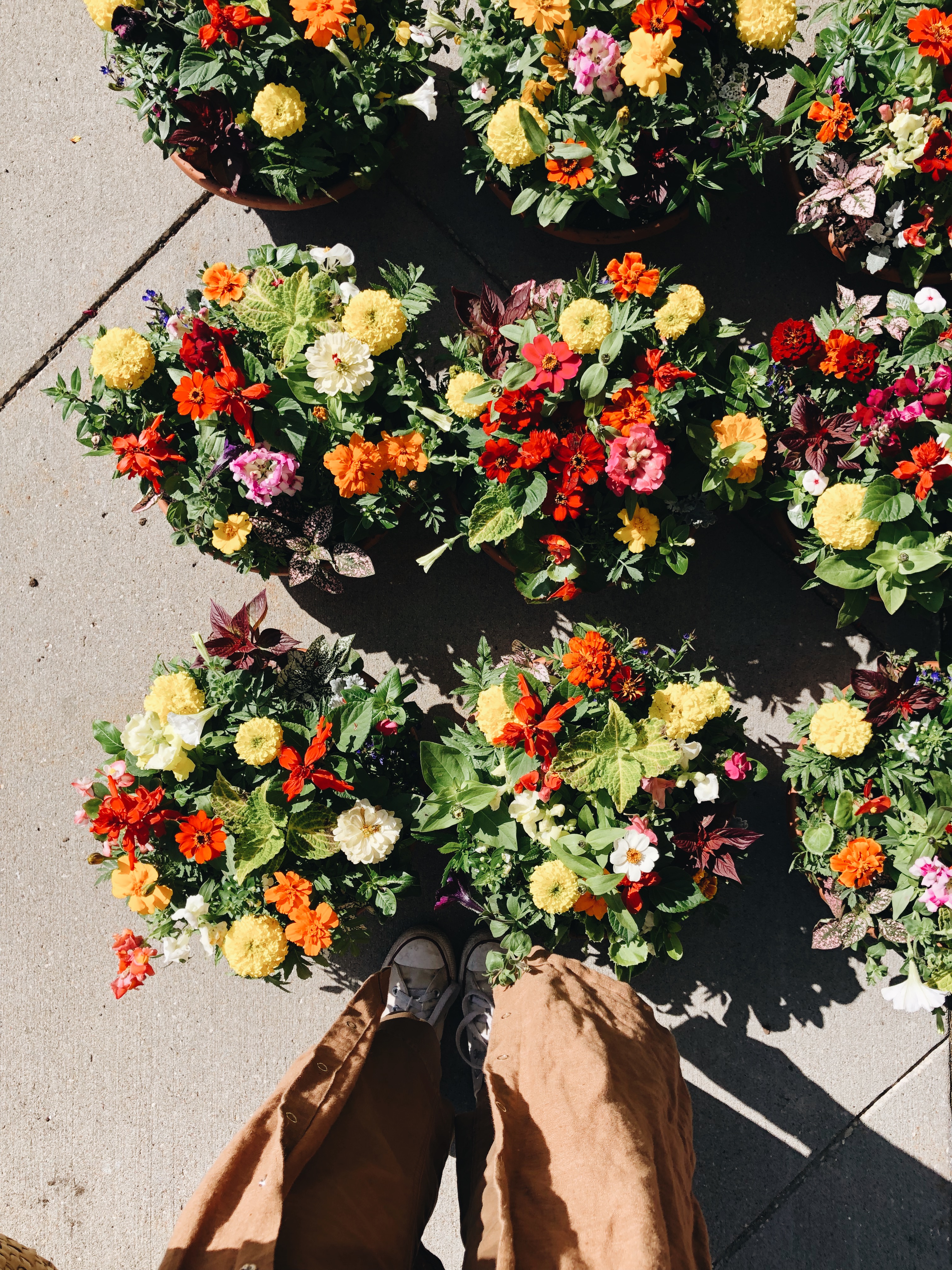 feet and flowers