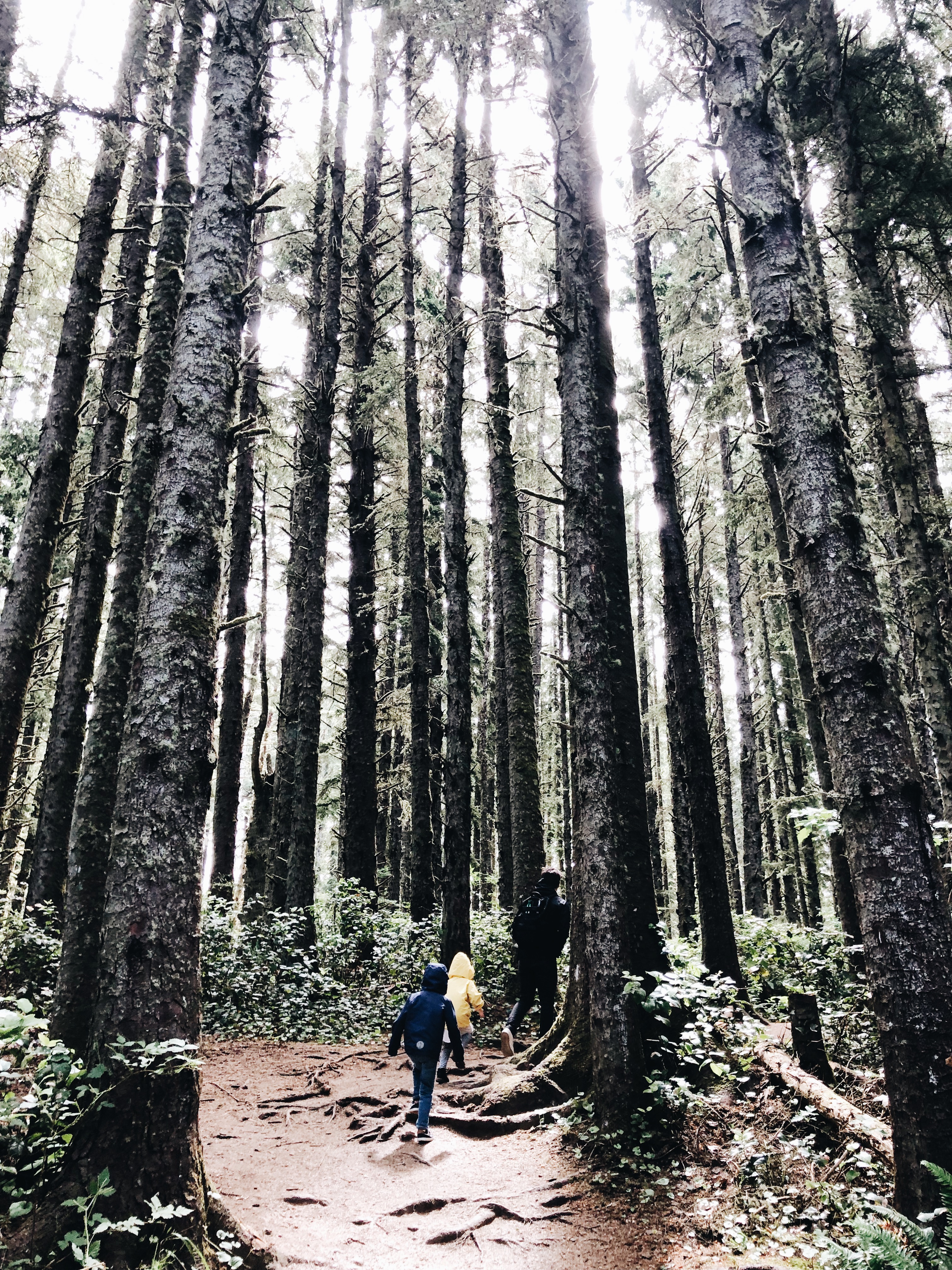 Oregon Coast / Bev Cooks