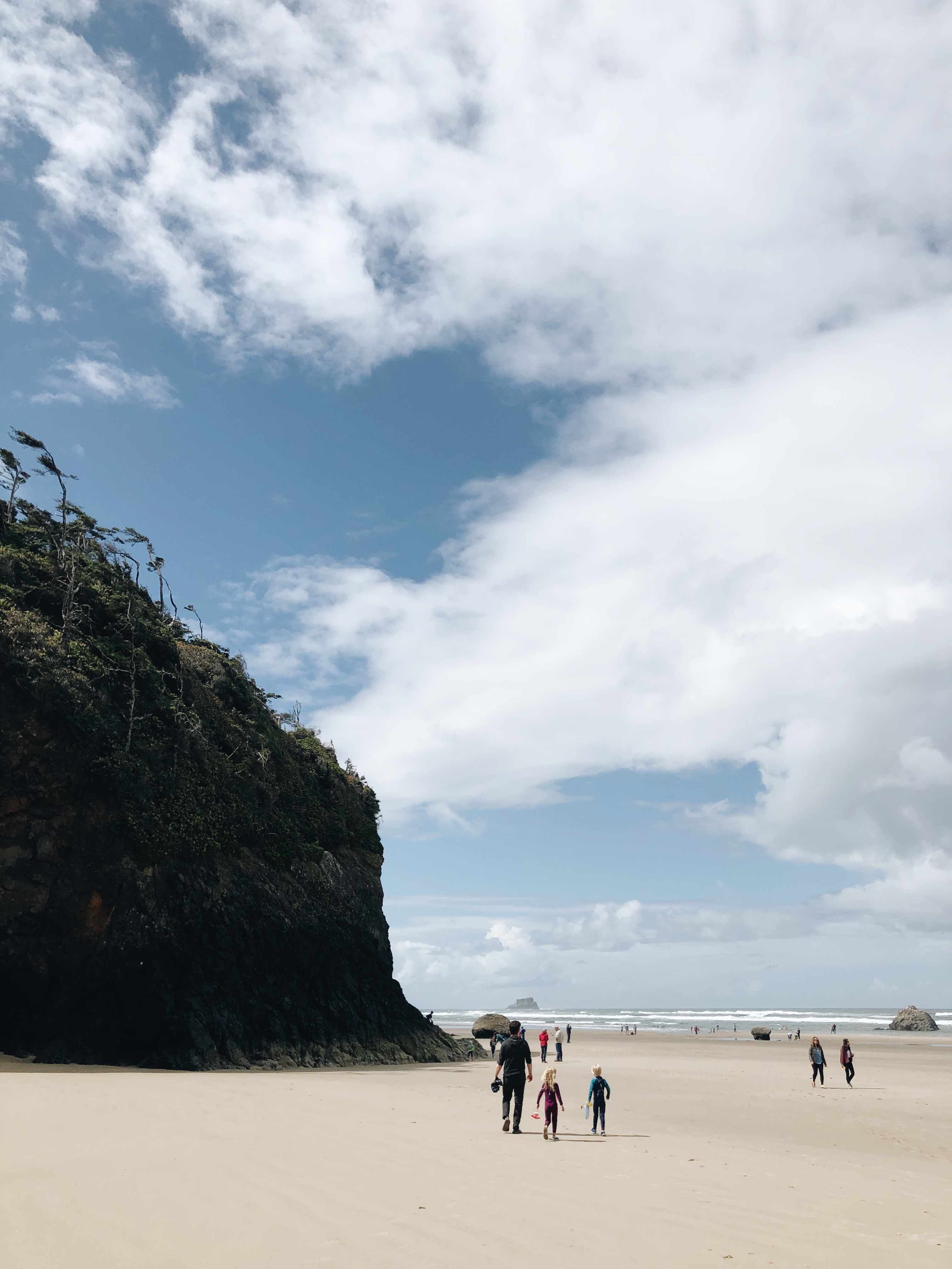 Our New Life on the Oregon Coast Forever / Bev Cooks