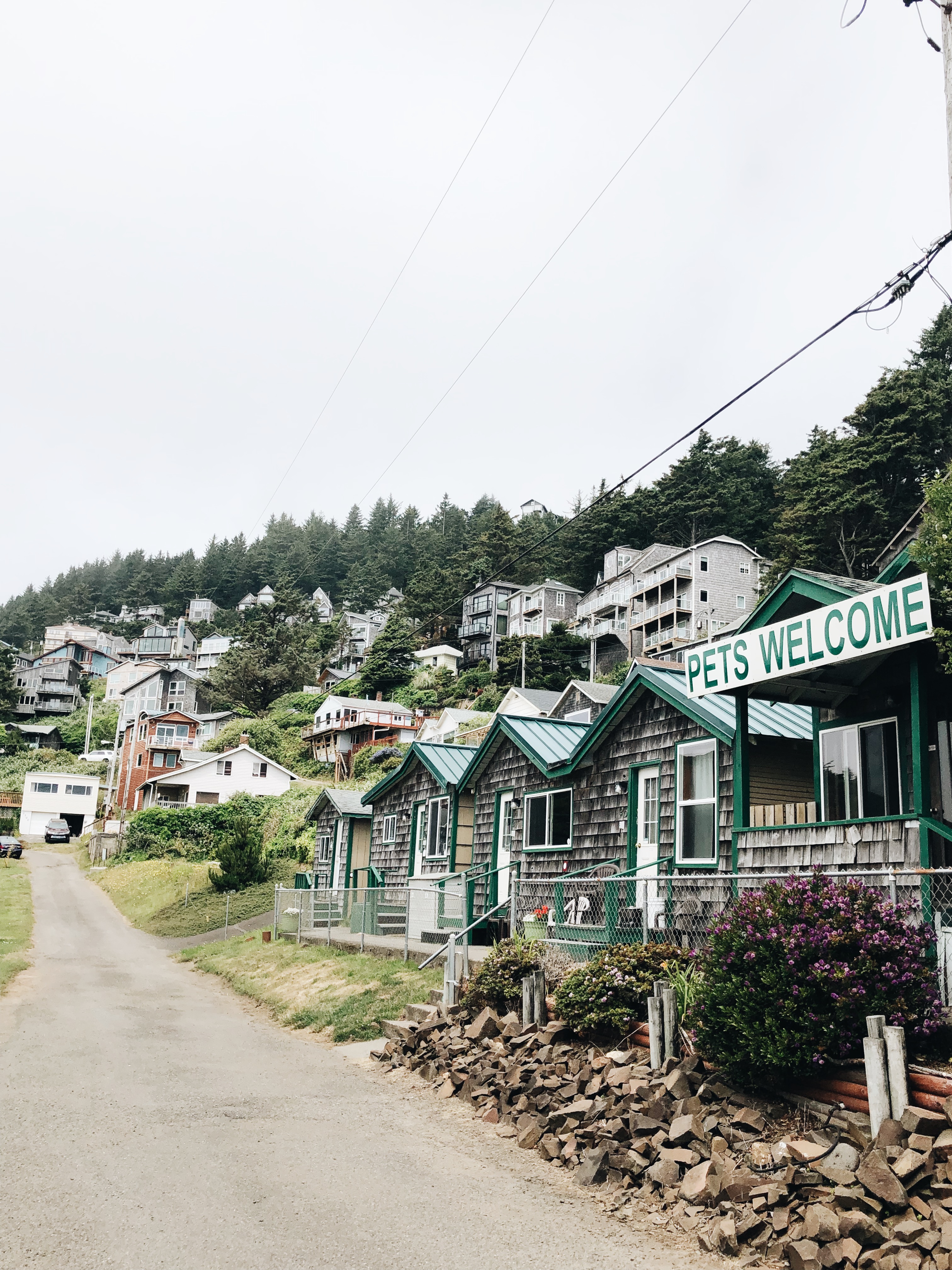 Oregon Coast / Bev Cooks