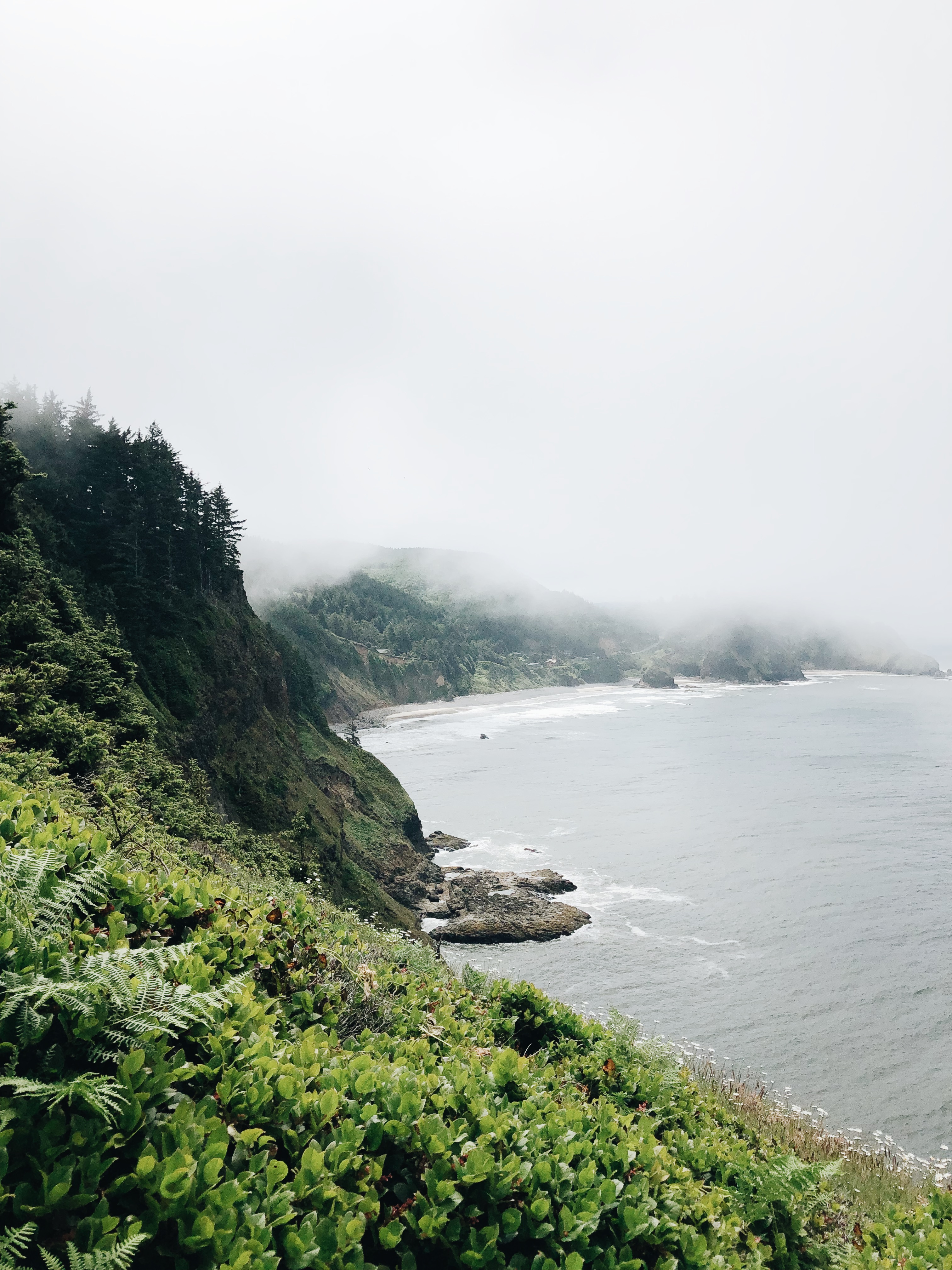 Oregon Coast / Bev Cooks