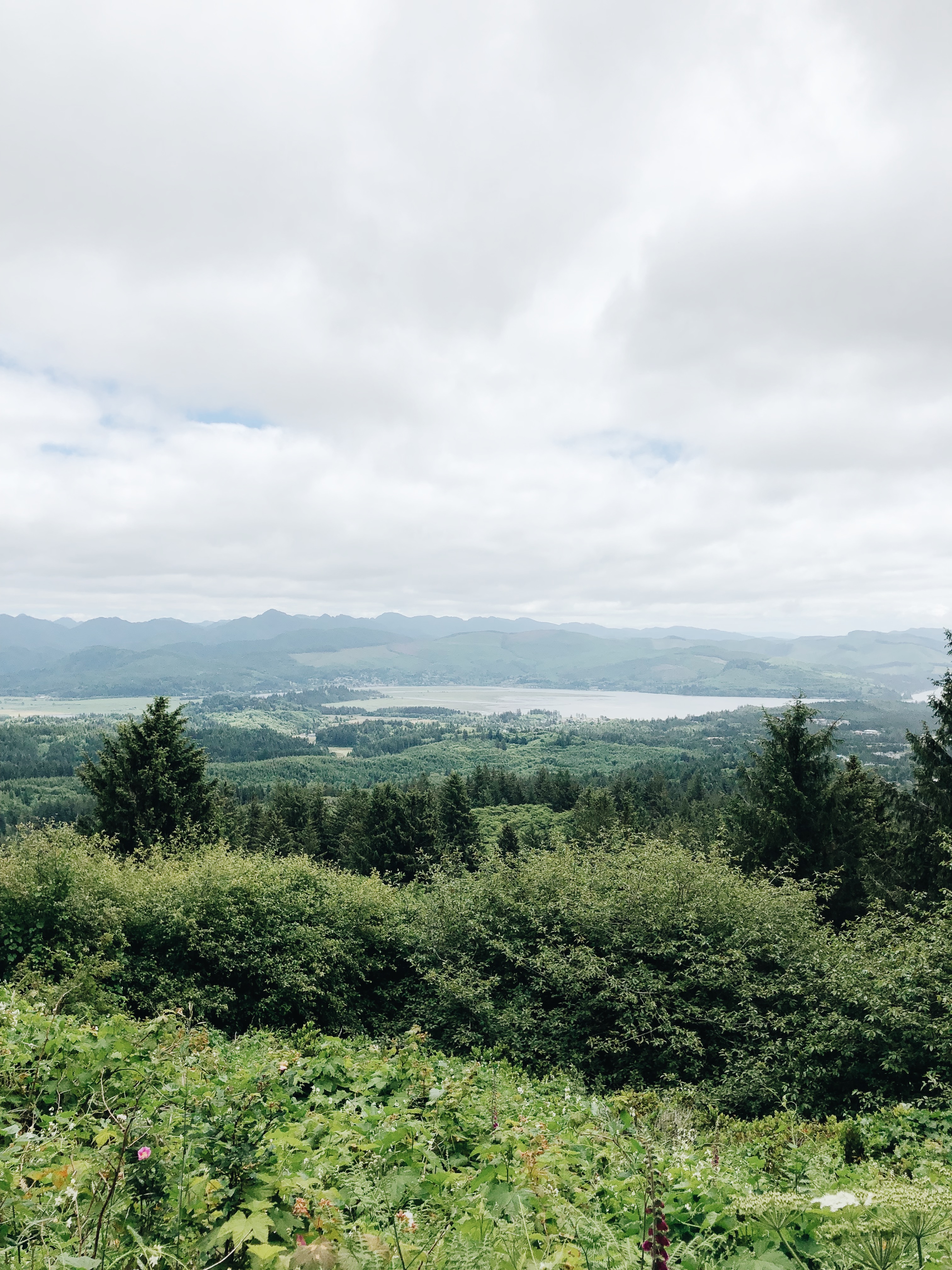 Oregon Coast / Bev Cooks