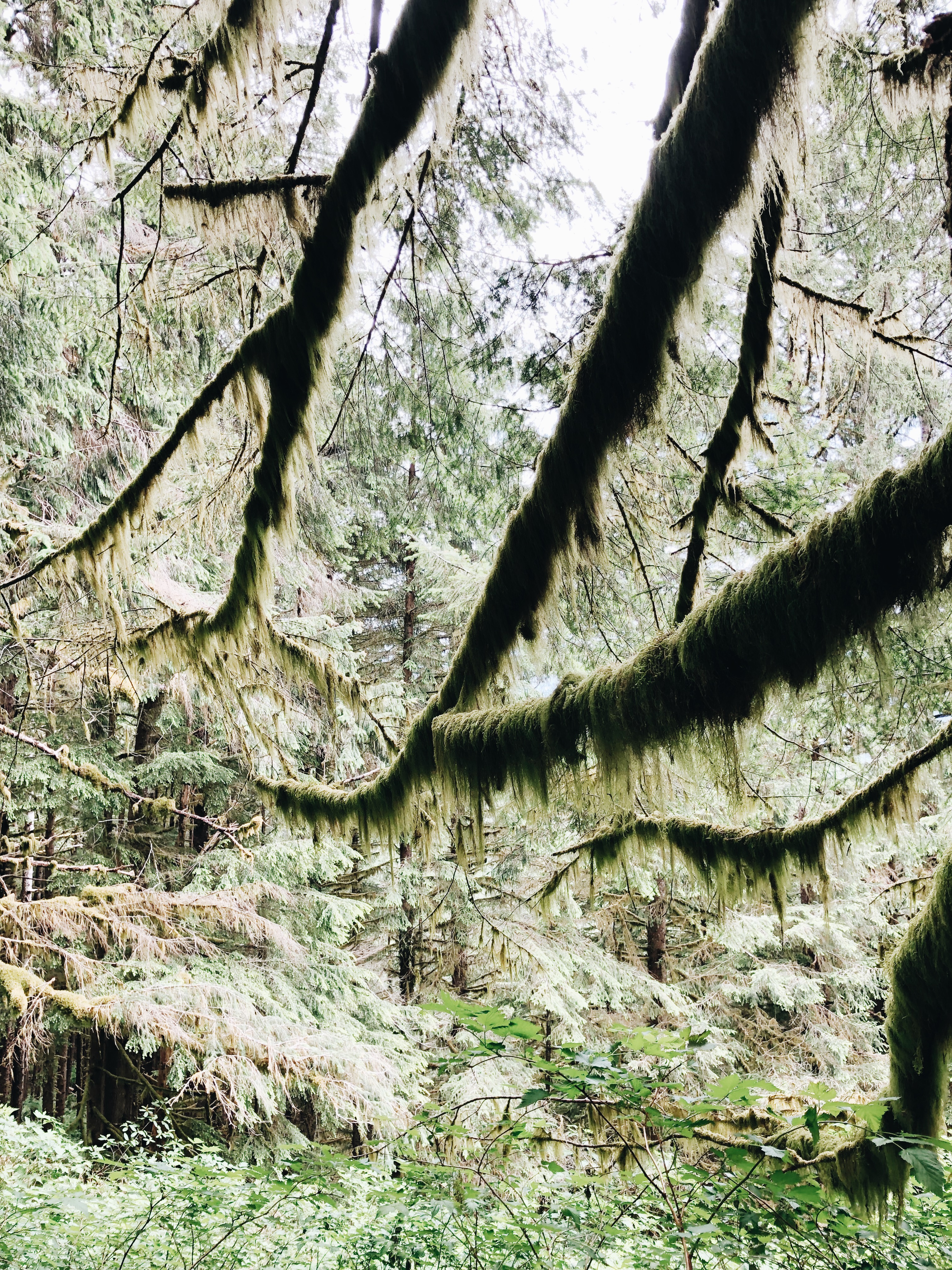 Oregon Coast / Bev Cooks