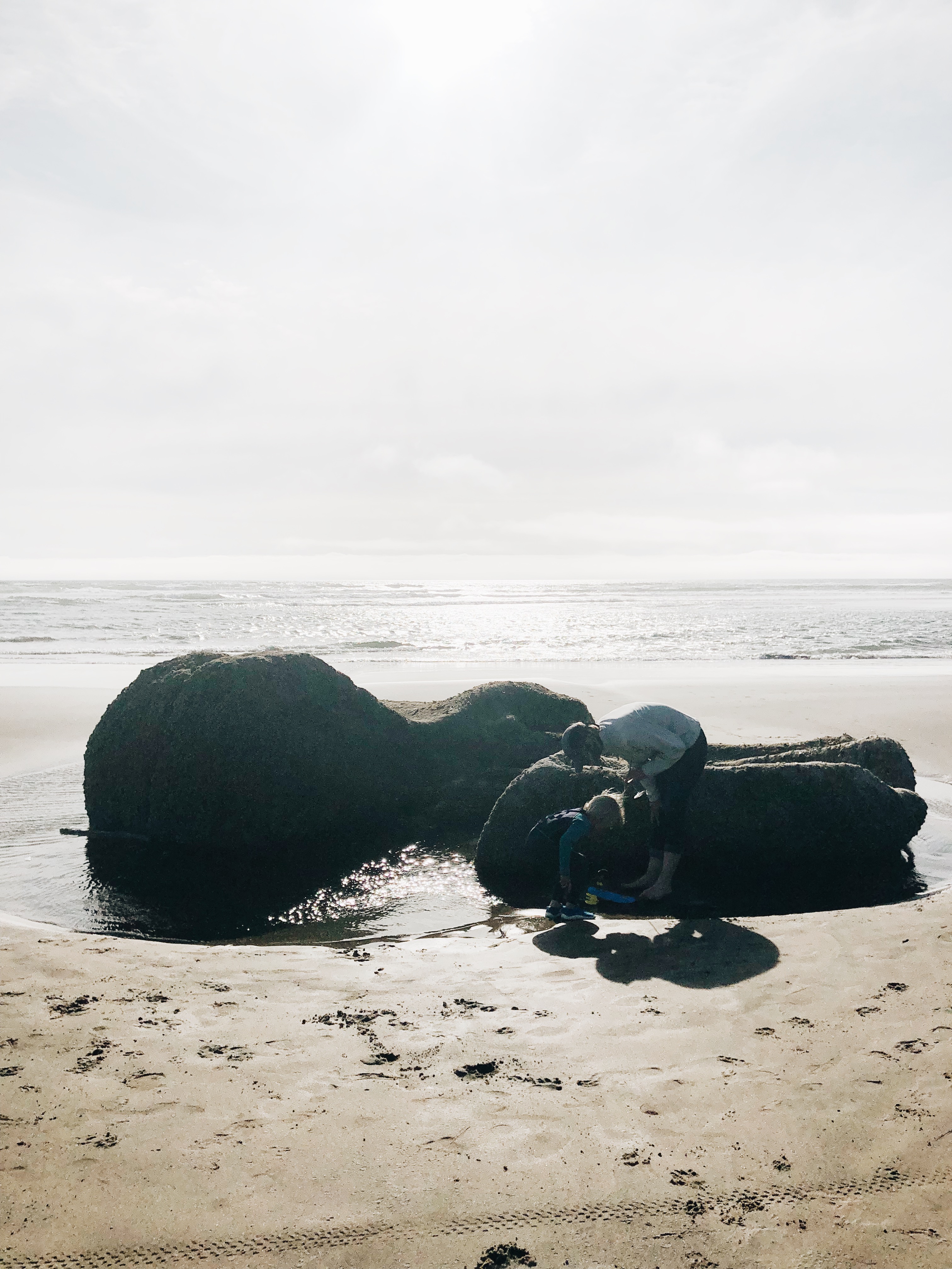 Oregon Coast / Bev Cooks