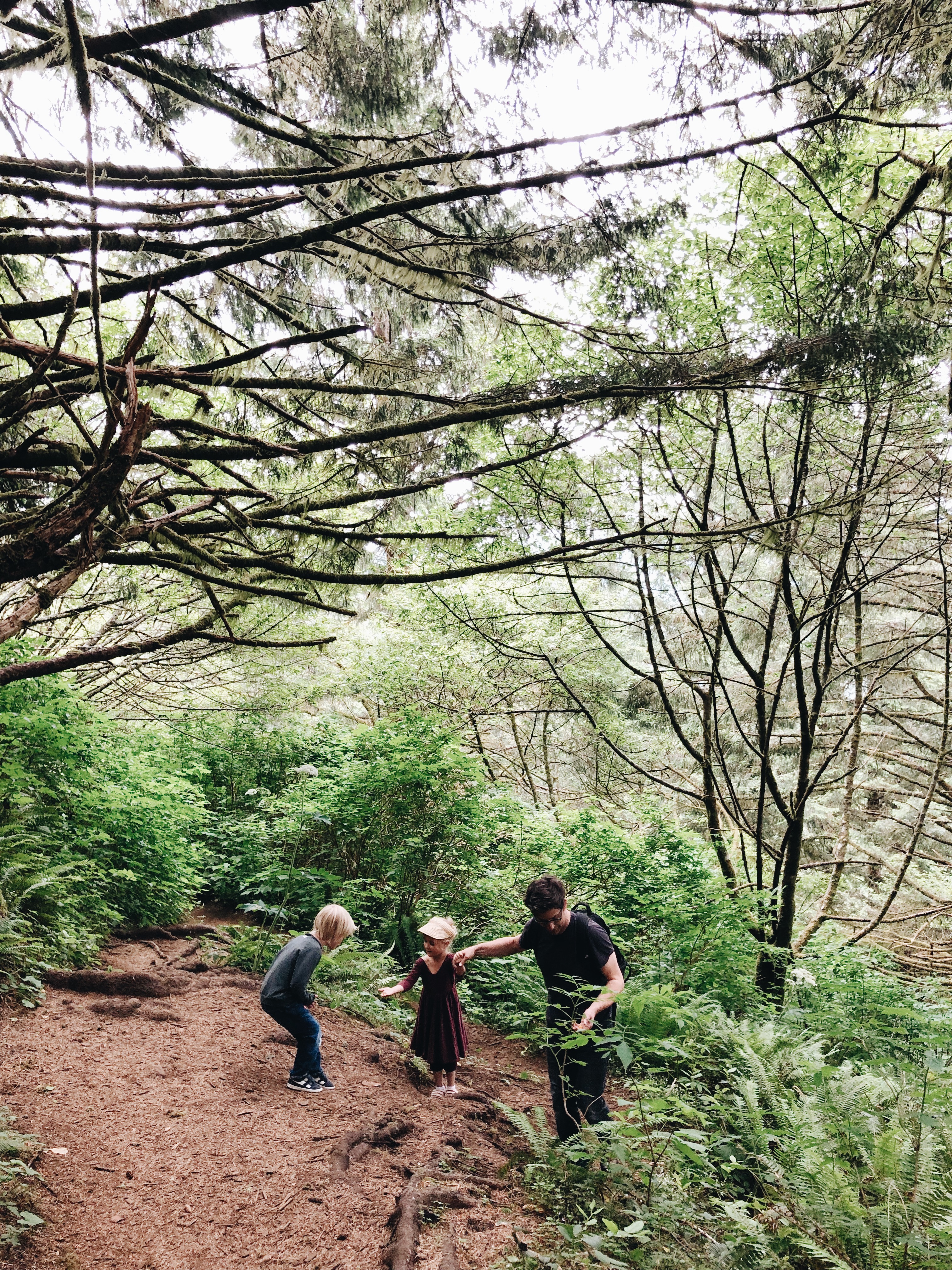 Oregon Coast / Bev Cooks