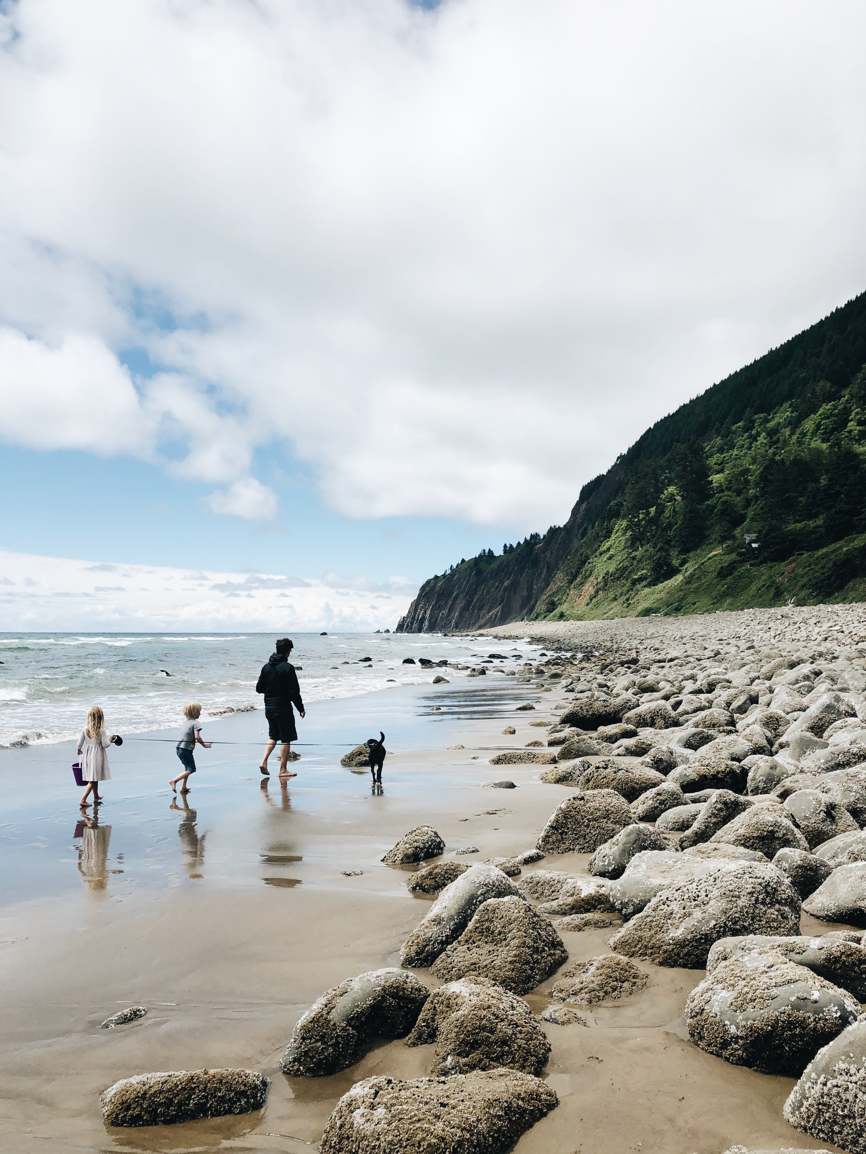 Oregon Coast / Bev Cooks