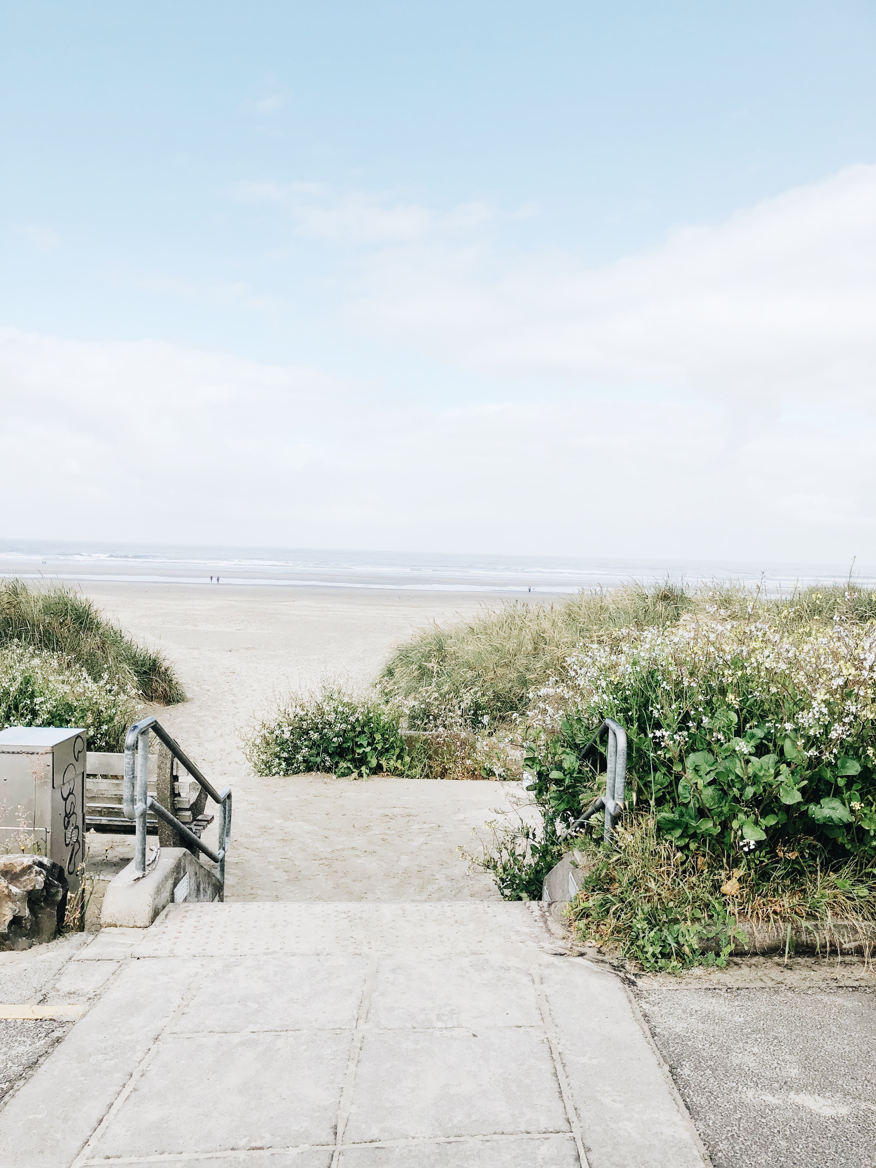 Oregon Coast / Bev Cooks