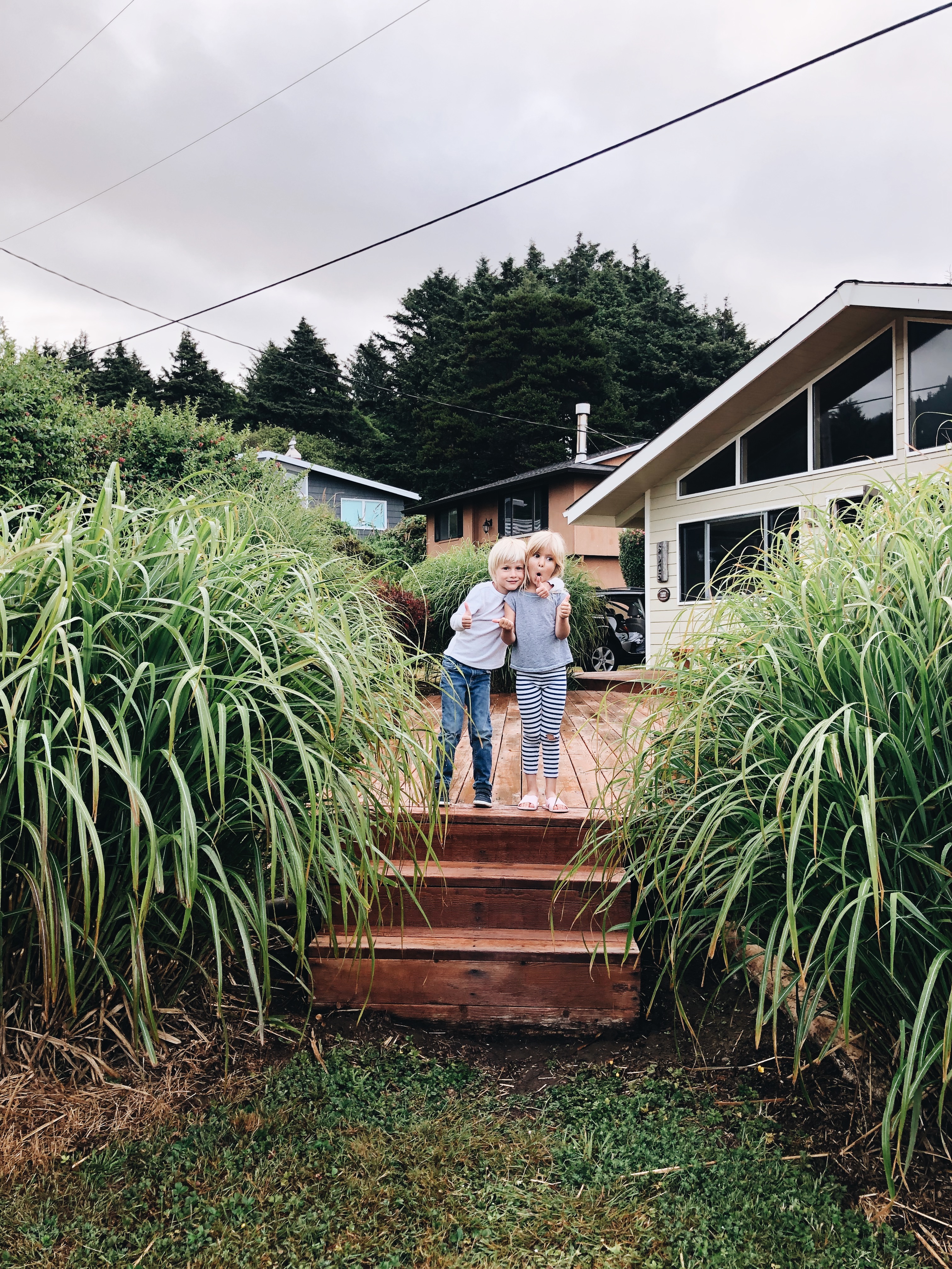 Oregon Coast / Bev Cooks