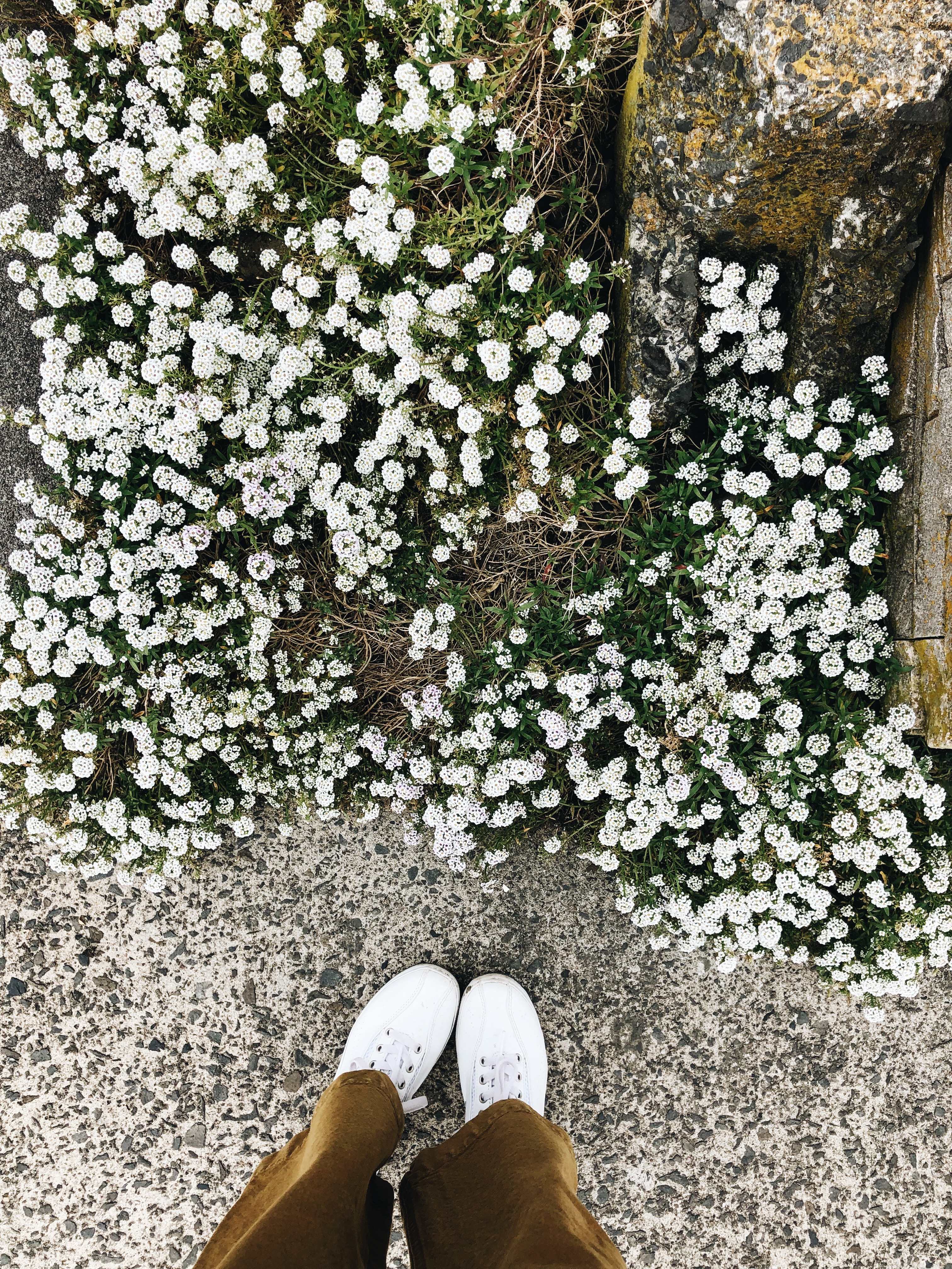 feet and flowers