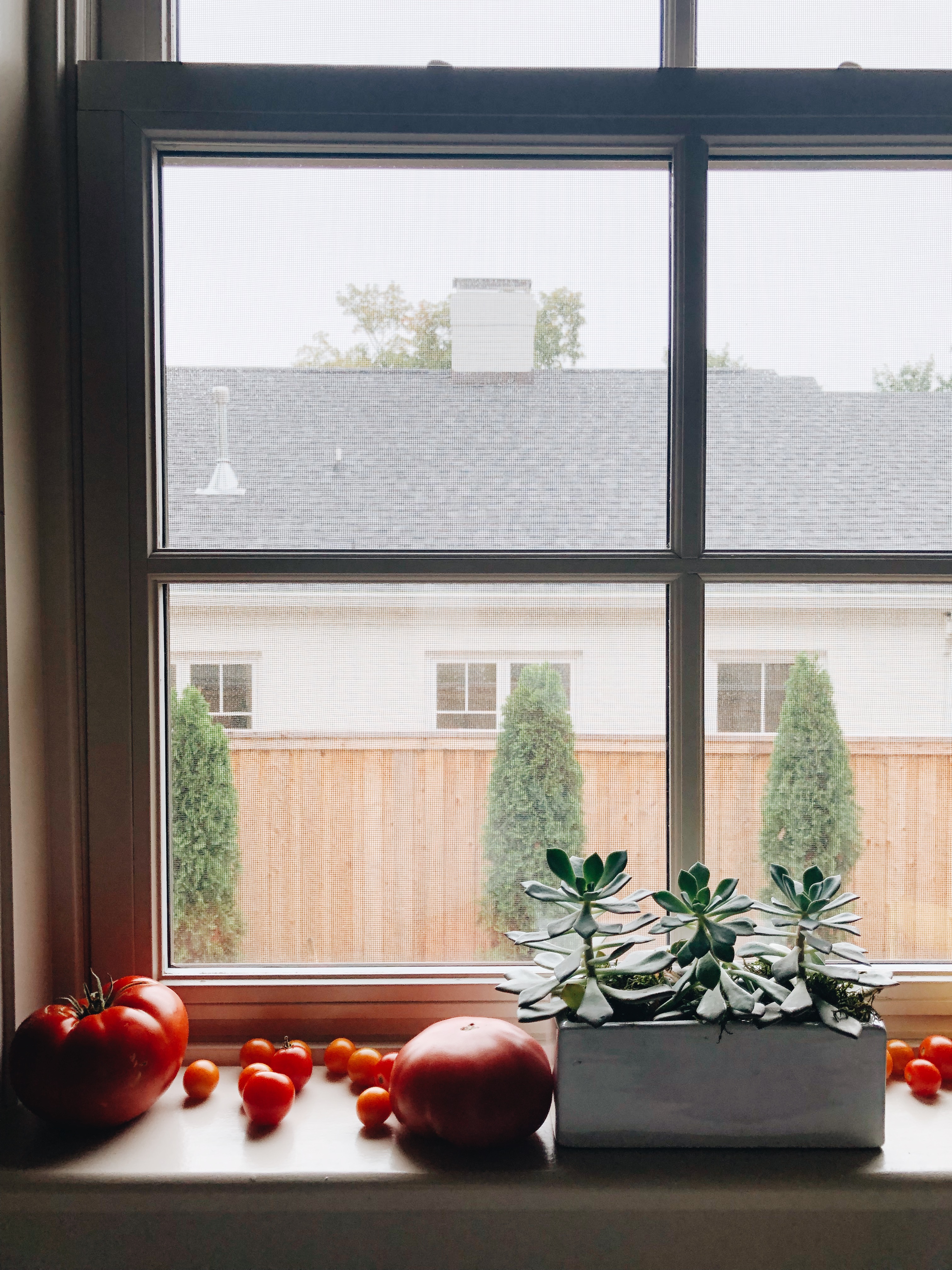 summer in a window