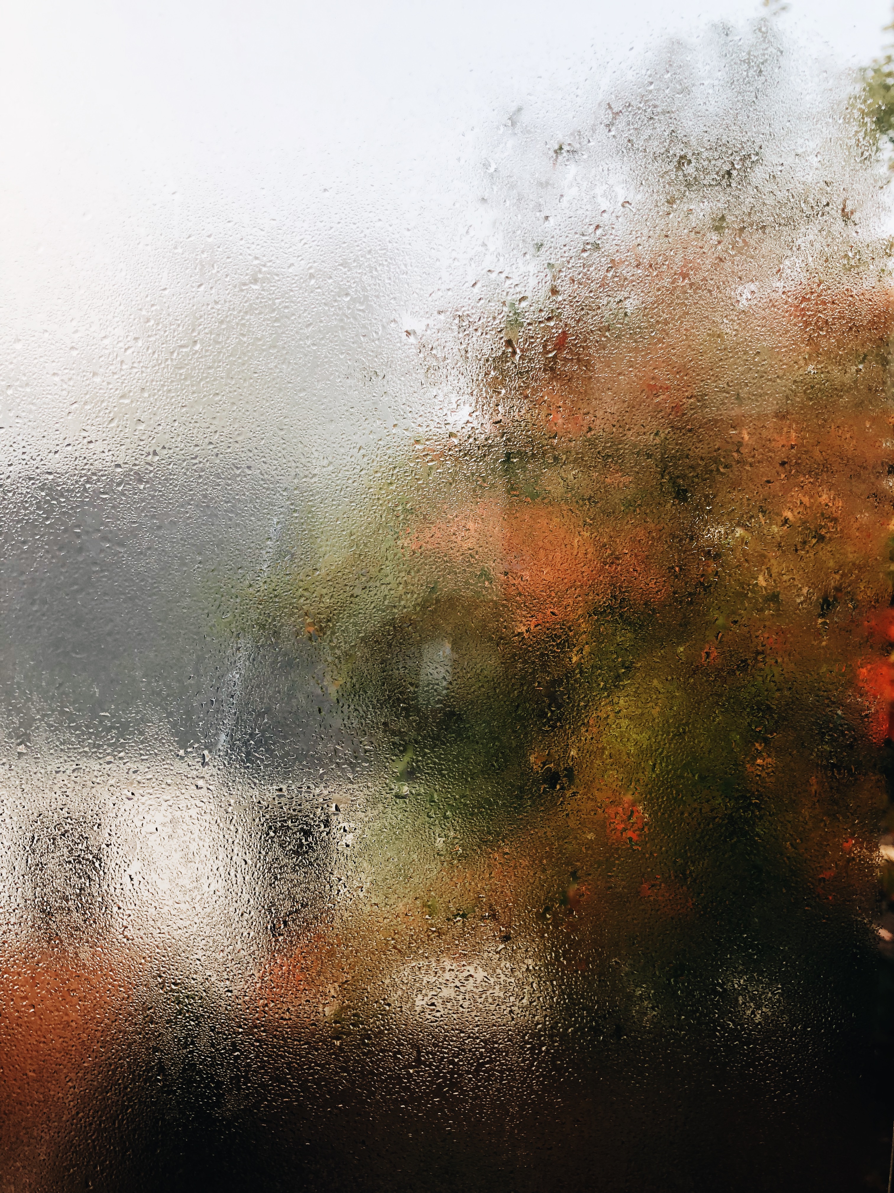 foggy window