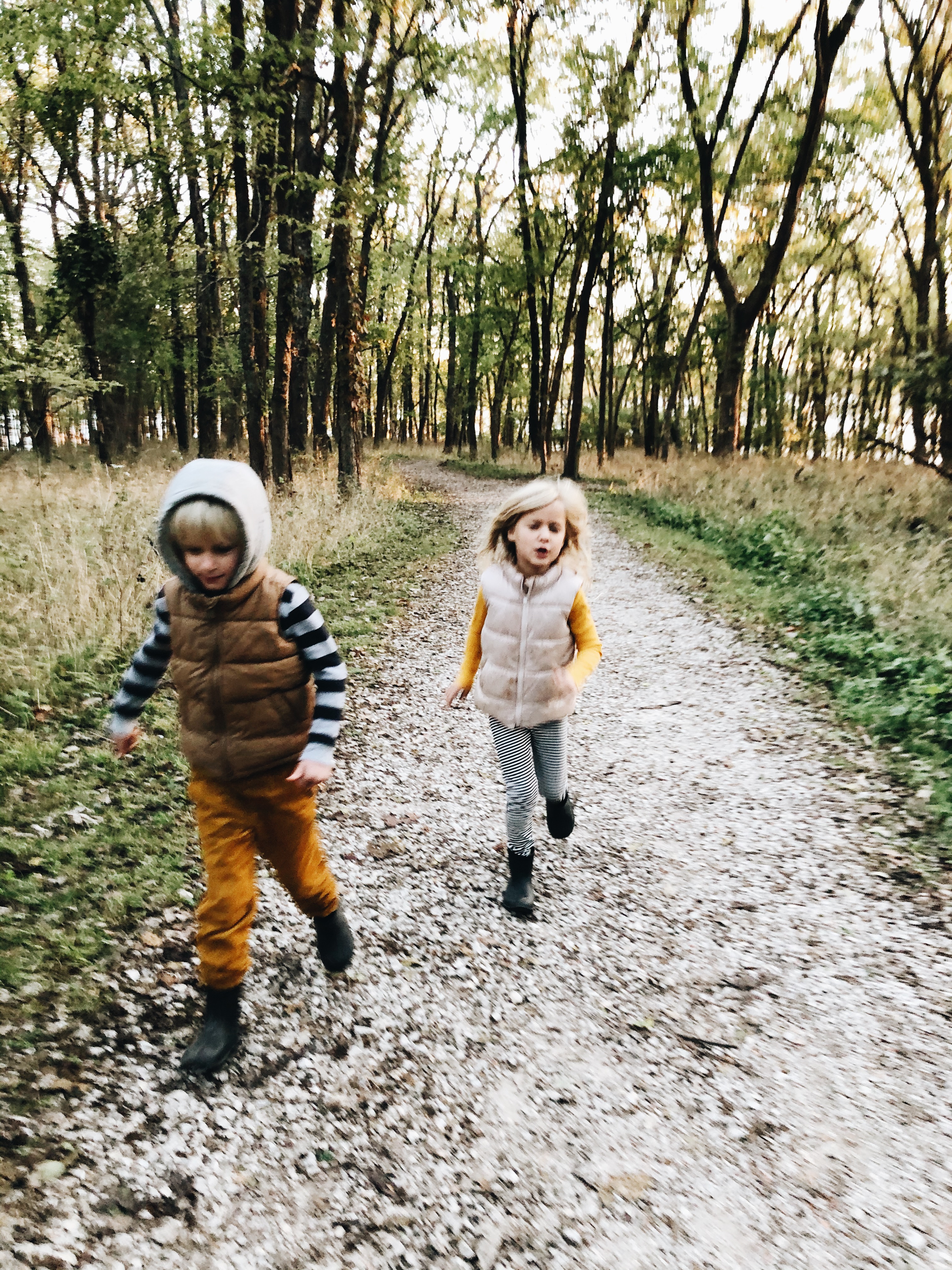 kids in woods